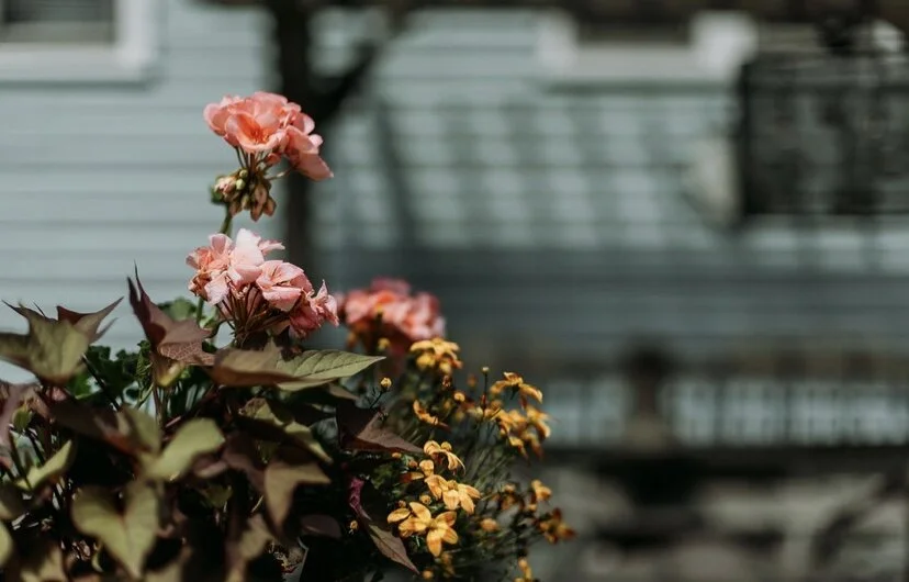 Eight Ways to Prep your Yard for Fall