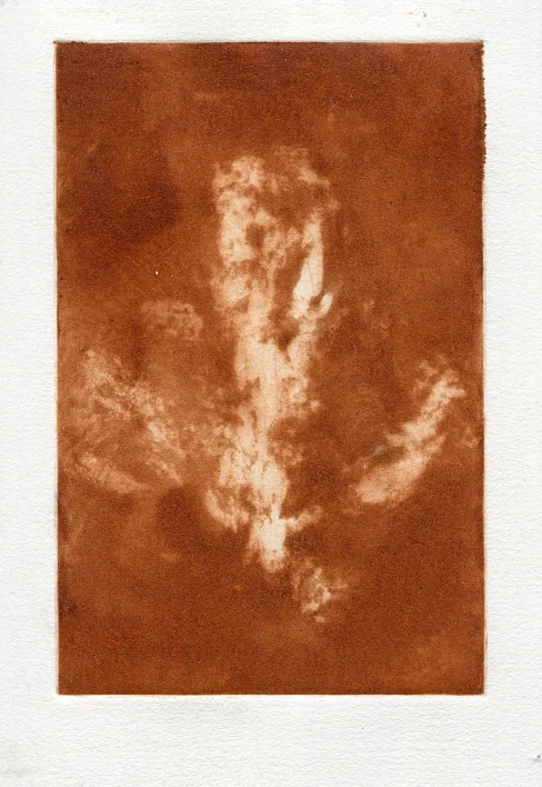 Tapir print etching- Natural pigment - 20cmx15cm