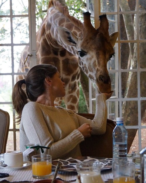 Giraffe Manor