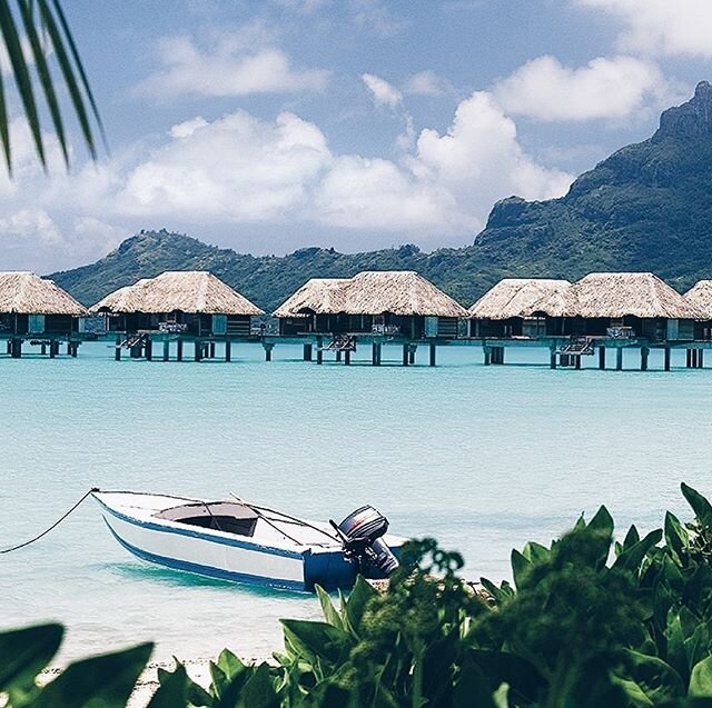 It&rsquo;s been a busy week with lots of new trip requests for 2020!🌎MDM clients will be traveling to some pretty amazing places this year, including some lucky clients who will be celebrating their honeymoon at the gorgeous Four Seasons Resort Bora