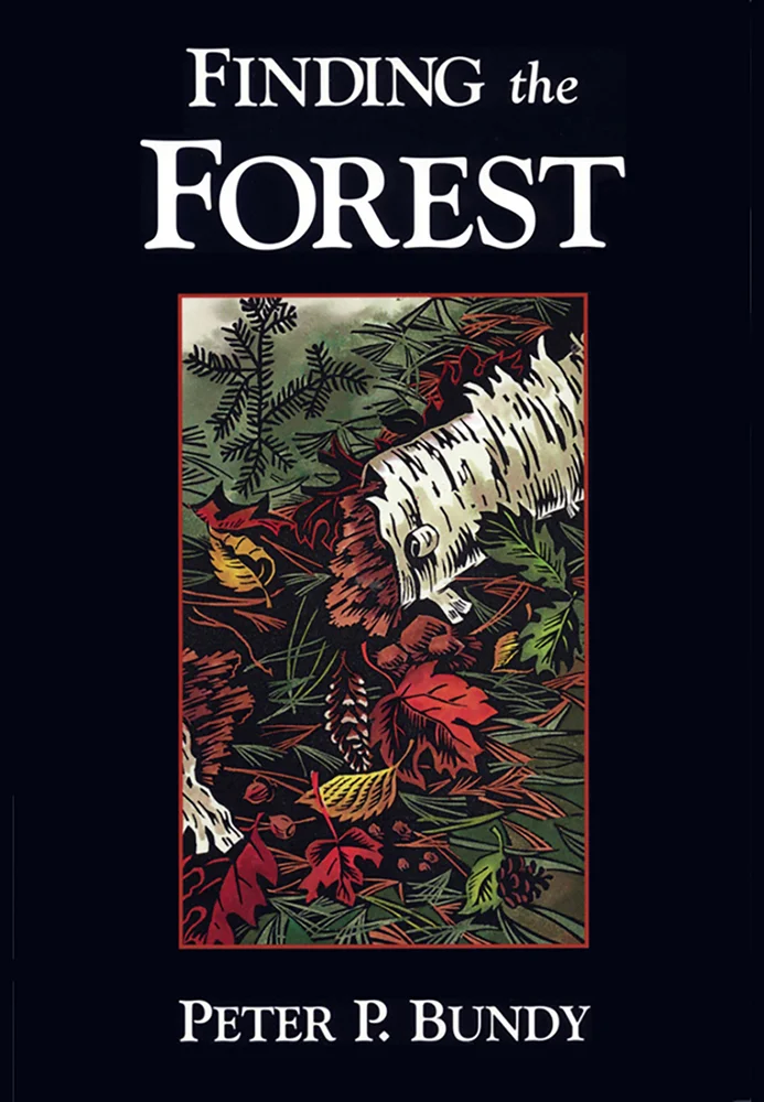 finding forest web.jpg