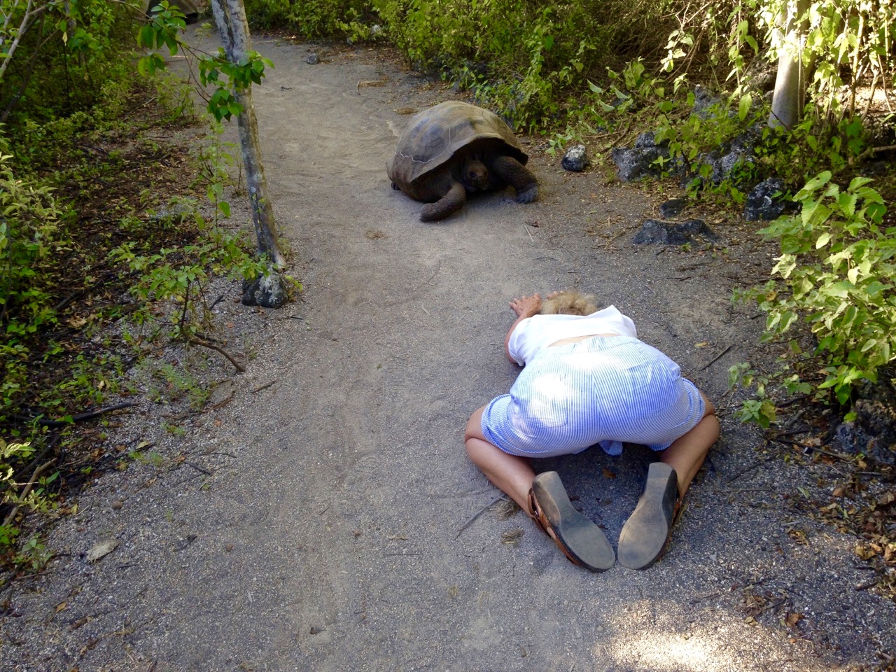 Deborah, Galapagos