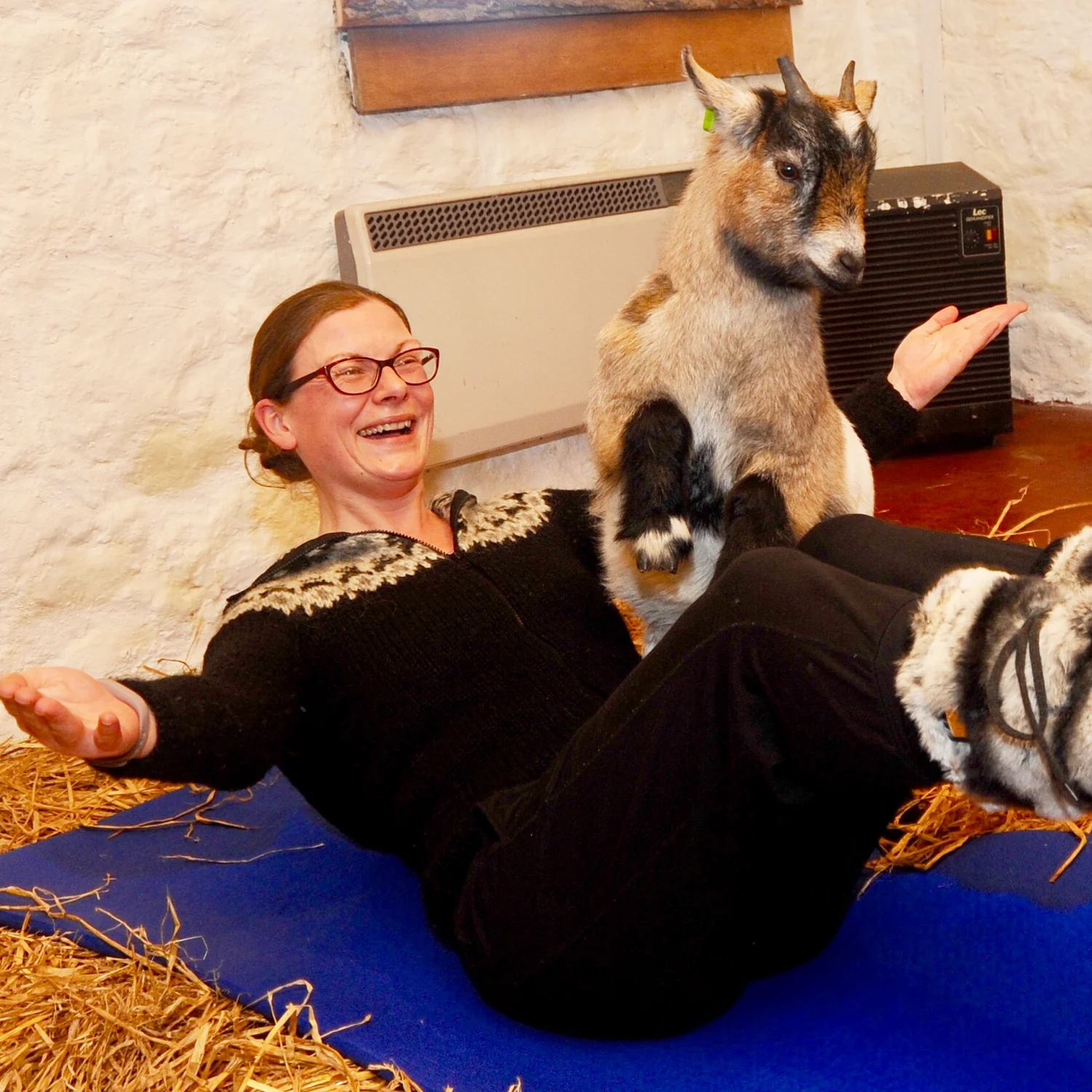 Pygmy Goat Pilates — Pilates Attic