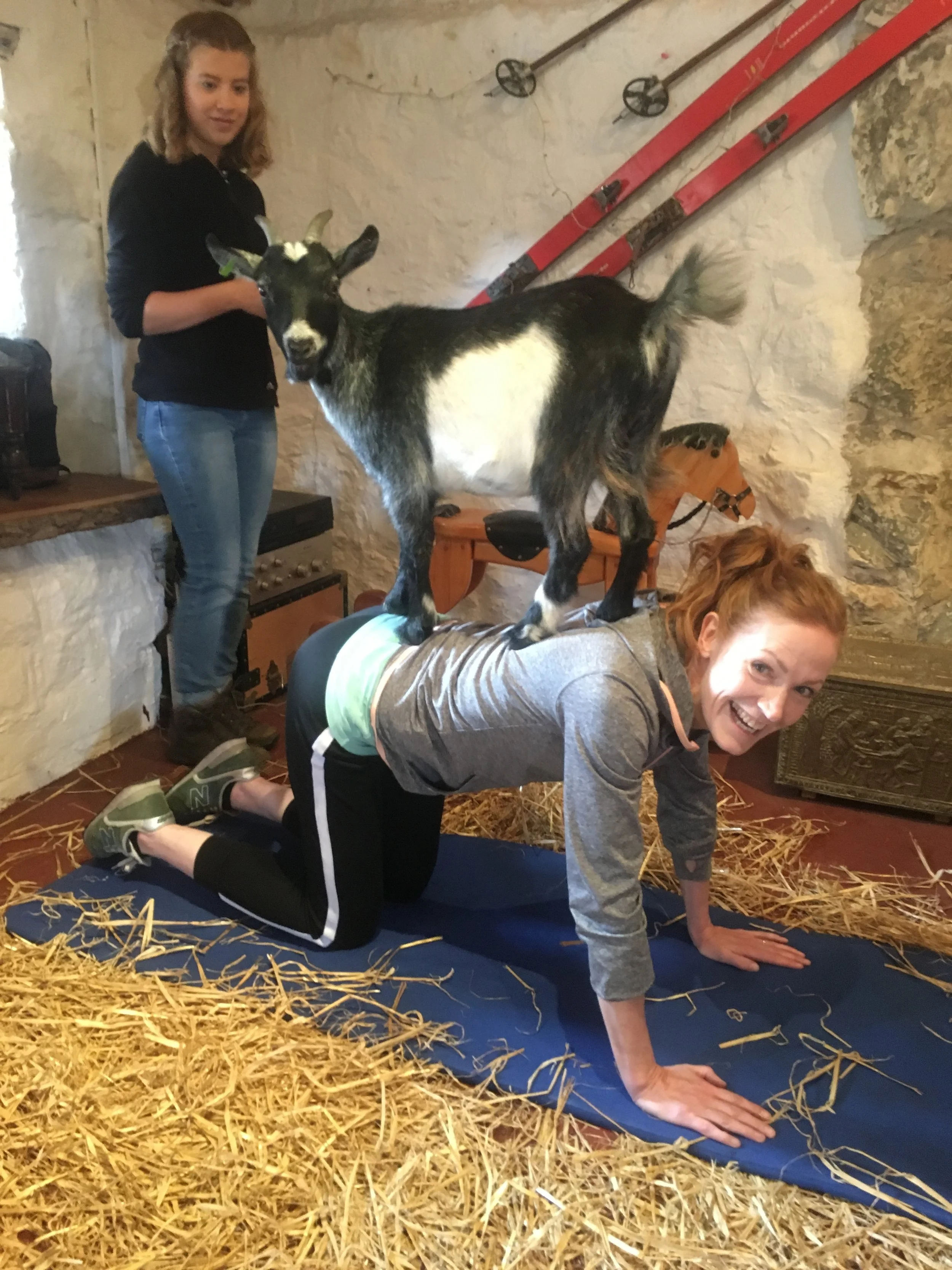Pygmy Goat Pilates — The Pilates Attic