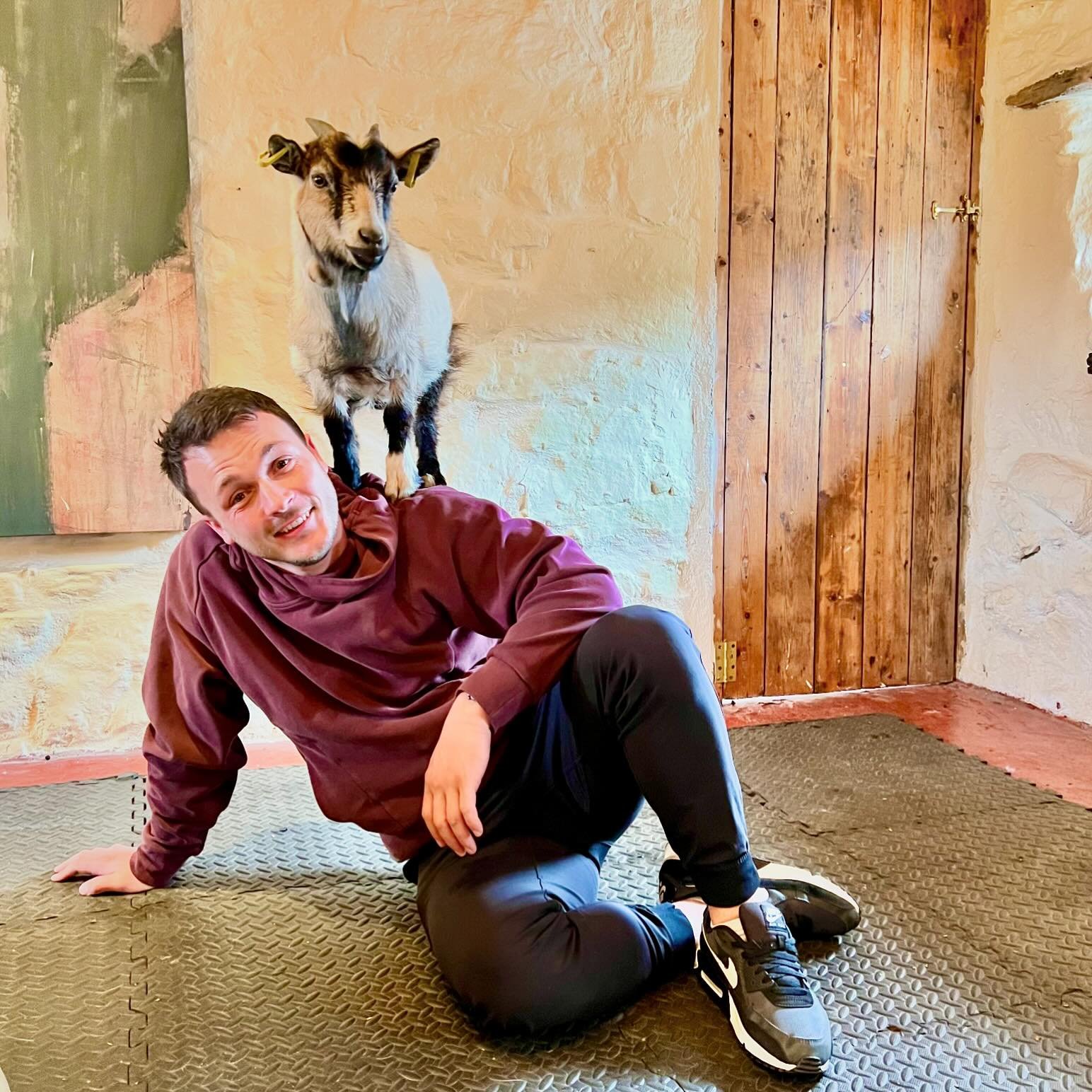 What more could you want than a baby goat sitting on your shoulder? @thepilatesattic 

#goats #goatpilates #pygmygoatpilates #pilates #pygmygoat #goatsofinstagram #scotland #babygoats #goatkids #farmlife #edinburghpilates #fife #pilatesedinburgh #sho