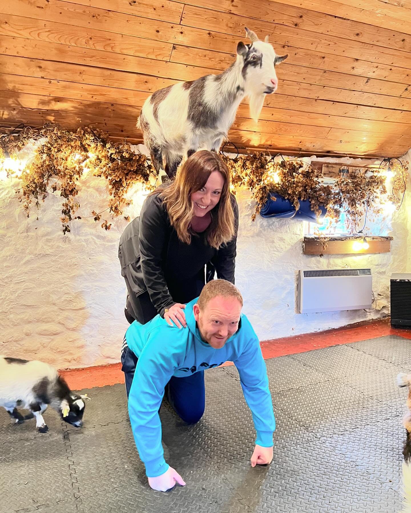 We are nearly sold out again! There&rsquo;s a few tickets left on April 28th, grab them quick! @thepilatesattic 

#goats #pygmygoats #pilates #goatpilates #pygmygoatpilates #goatsofinstagram #goatyoga #edinburgh #fife #scotland #ilovegoats