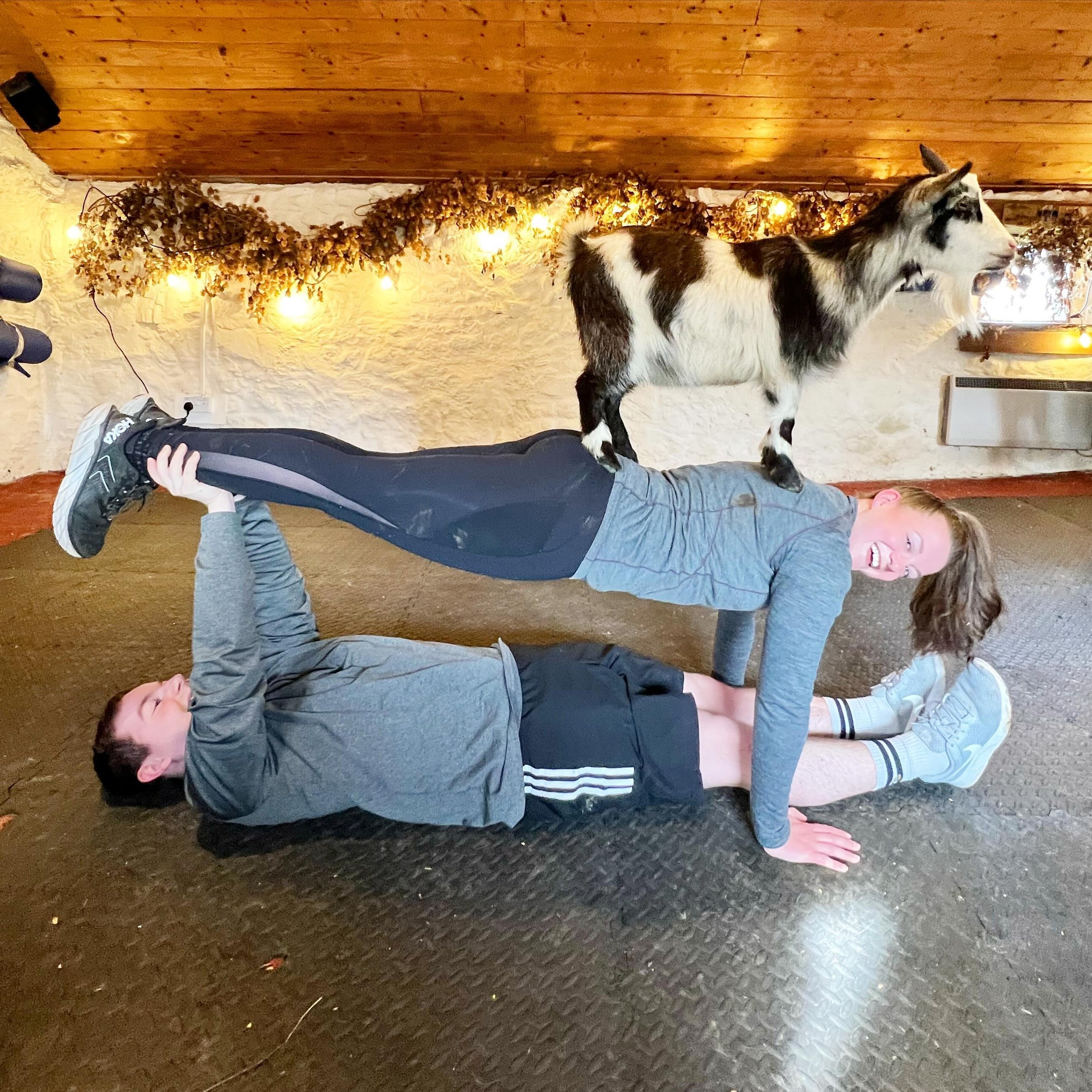 We have just one space left this weekend, are you coming along to meet the goats? @thepilatesattic 

#goats #pygmygoats #goatpilates #scotland #pilates #babygoats