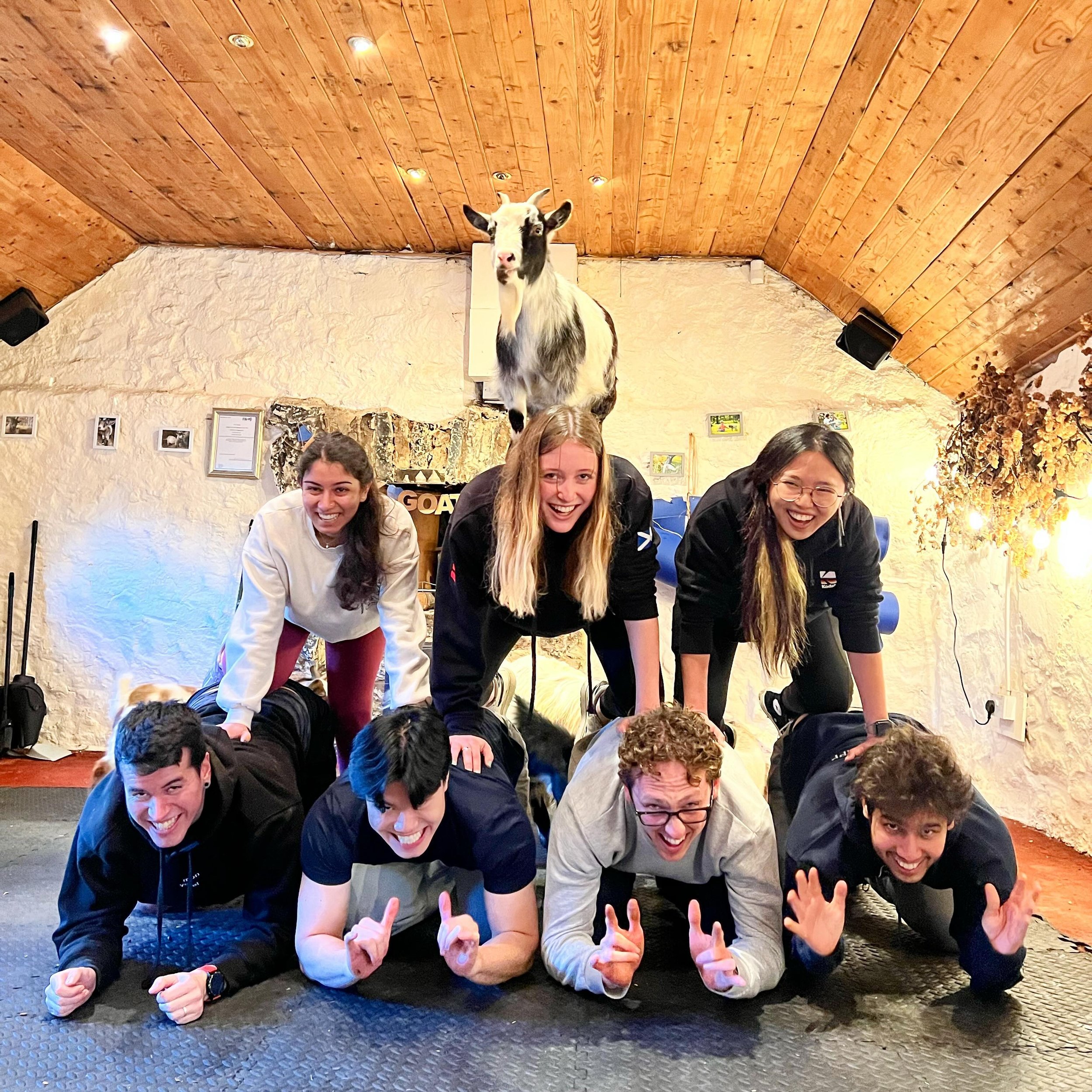 The best fun building a goat pyramid @thepilatesattic 

#goats #pygmygoats #babygoats #babyanimals #edinburgh #fife #scotland #pilates #goatpilates #farmlife #goatyoga #nonsense #goatsontop #pyramid