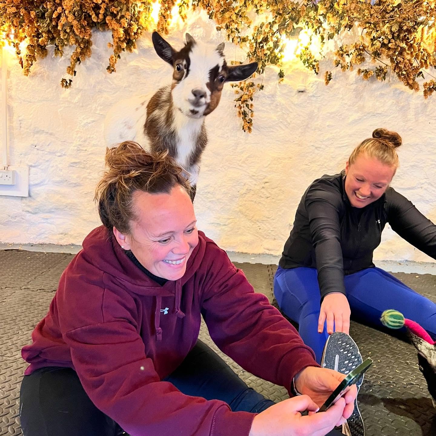 Baby Bobbin loves the camera, come and get your best selfie at goat pilates 🐐🤳 @pilatesattic 

#selfie #goatselfie #goatpilates #babygoat #pygmygoats #scotland #pilates