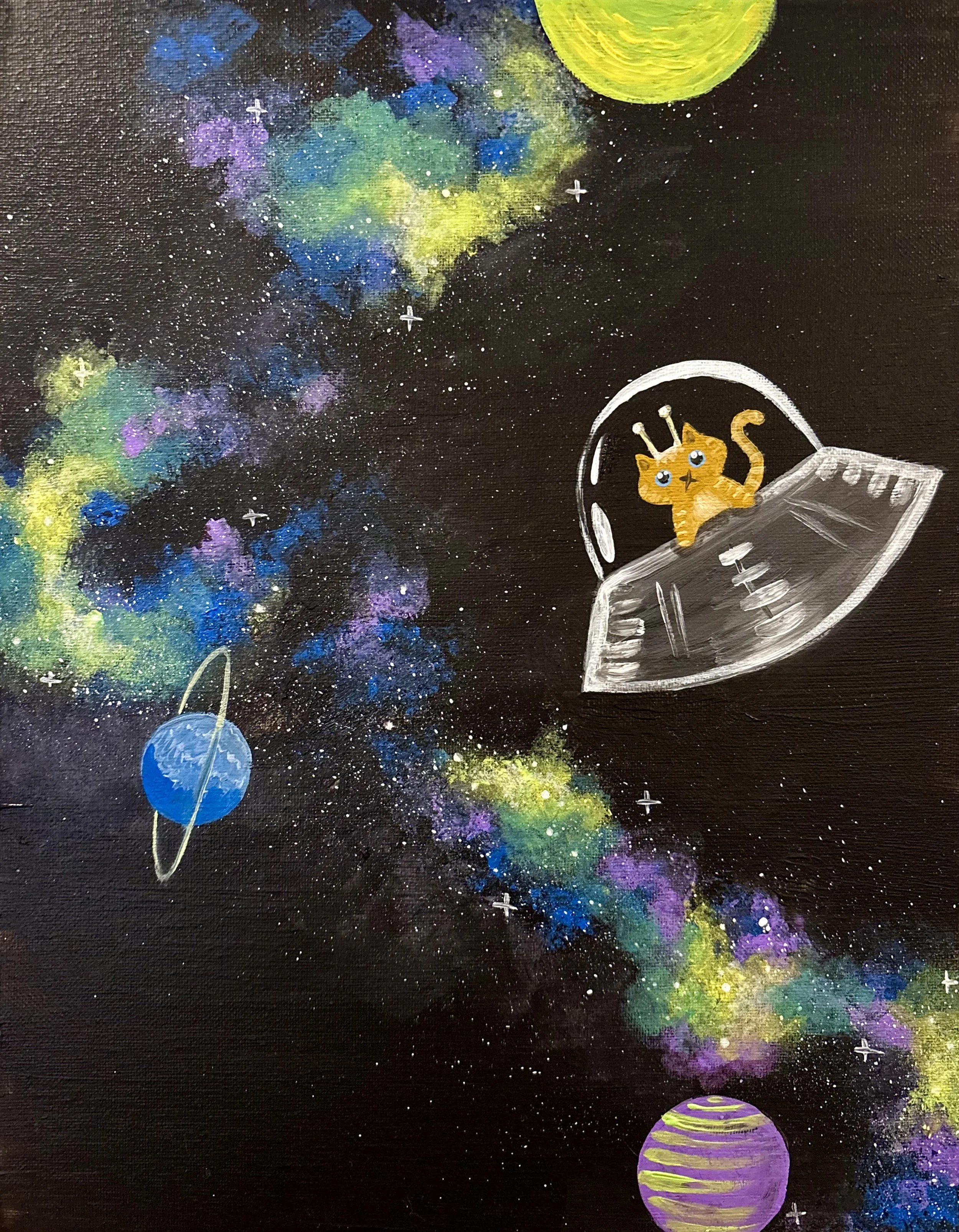 Unidentified Flying Cat.jpeg