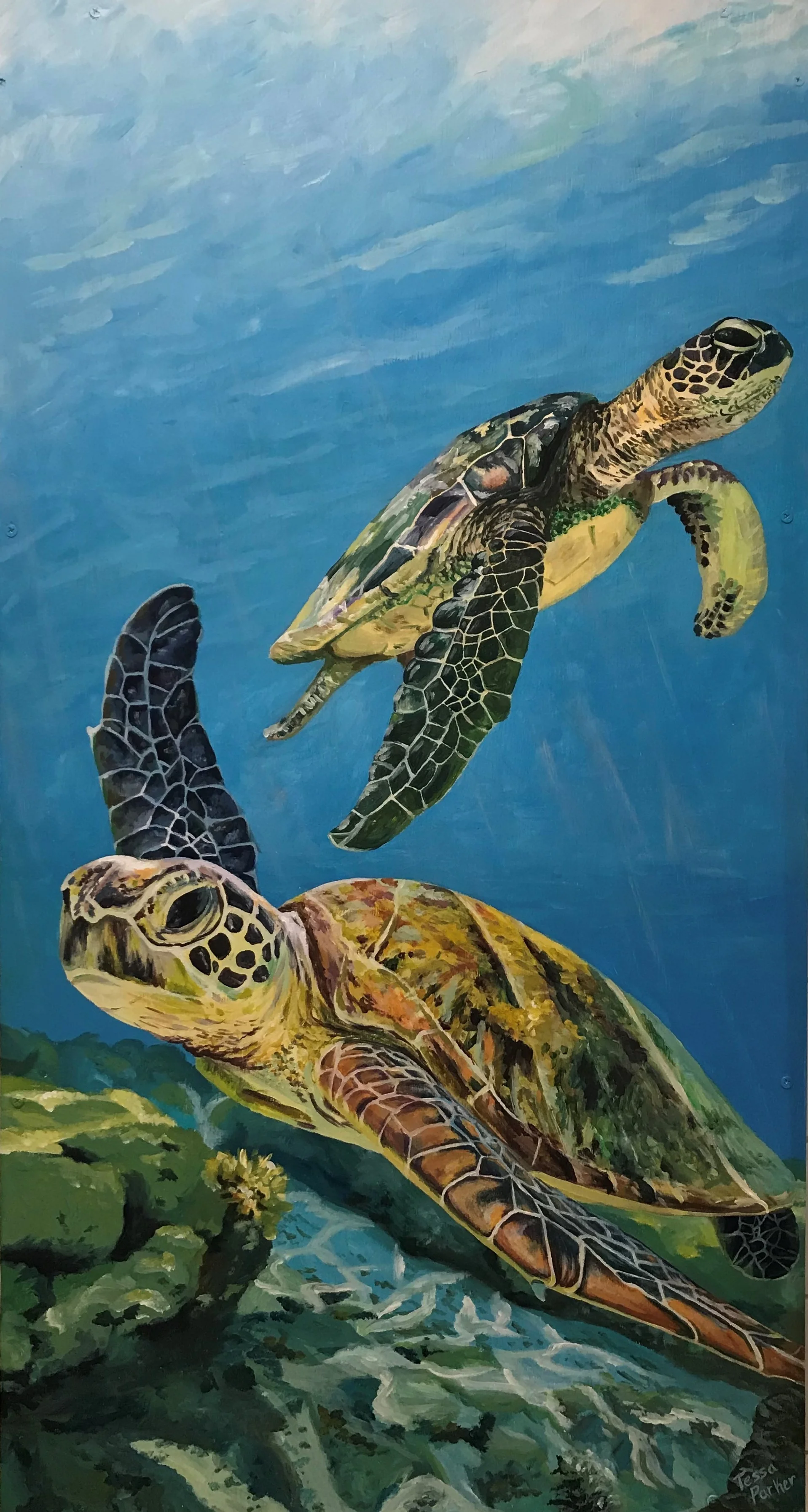 Sam and Addie’s Turtles. Tessa Parker, 2019. Acrylic on wood panel, 22”x 41”