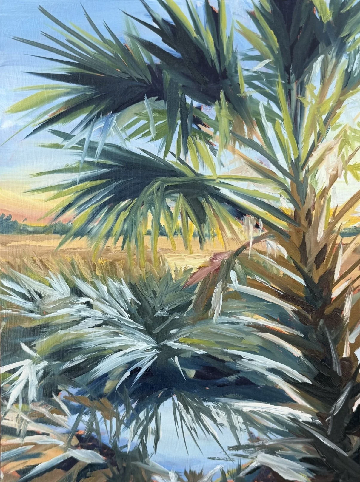 "Sunlight Peeking through Palms"