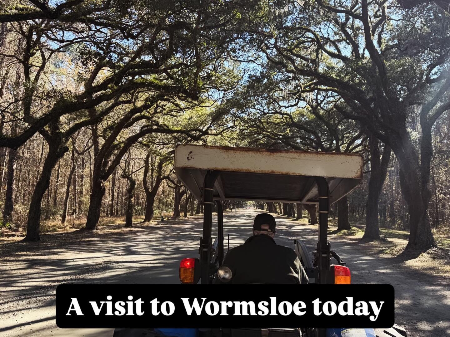 A fun visit to Wormsloe today for the &ldquo;Colonial Faire &amp; Muster&rdquo;. This live oak lined drive never gets old! Today we got to check out the new visitors center and ride the tractor trolley down to the historic site. It&rsquo;s open again