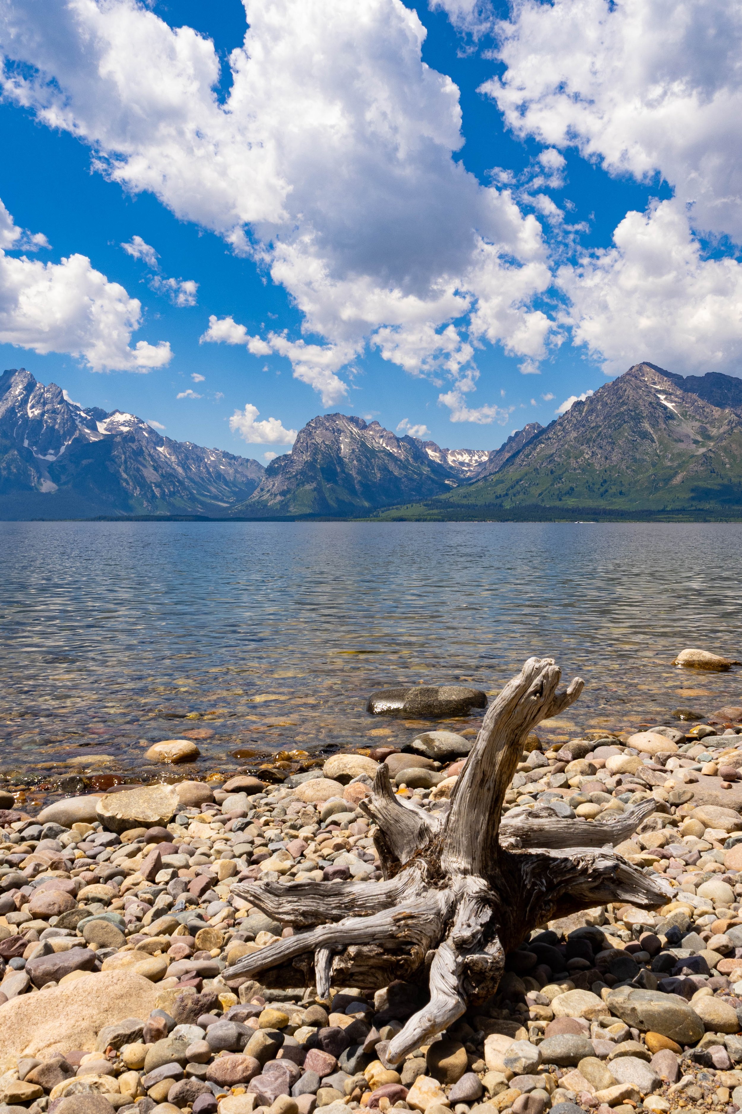 Lake in the Tetons