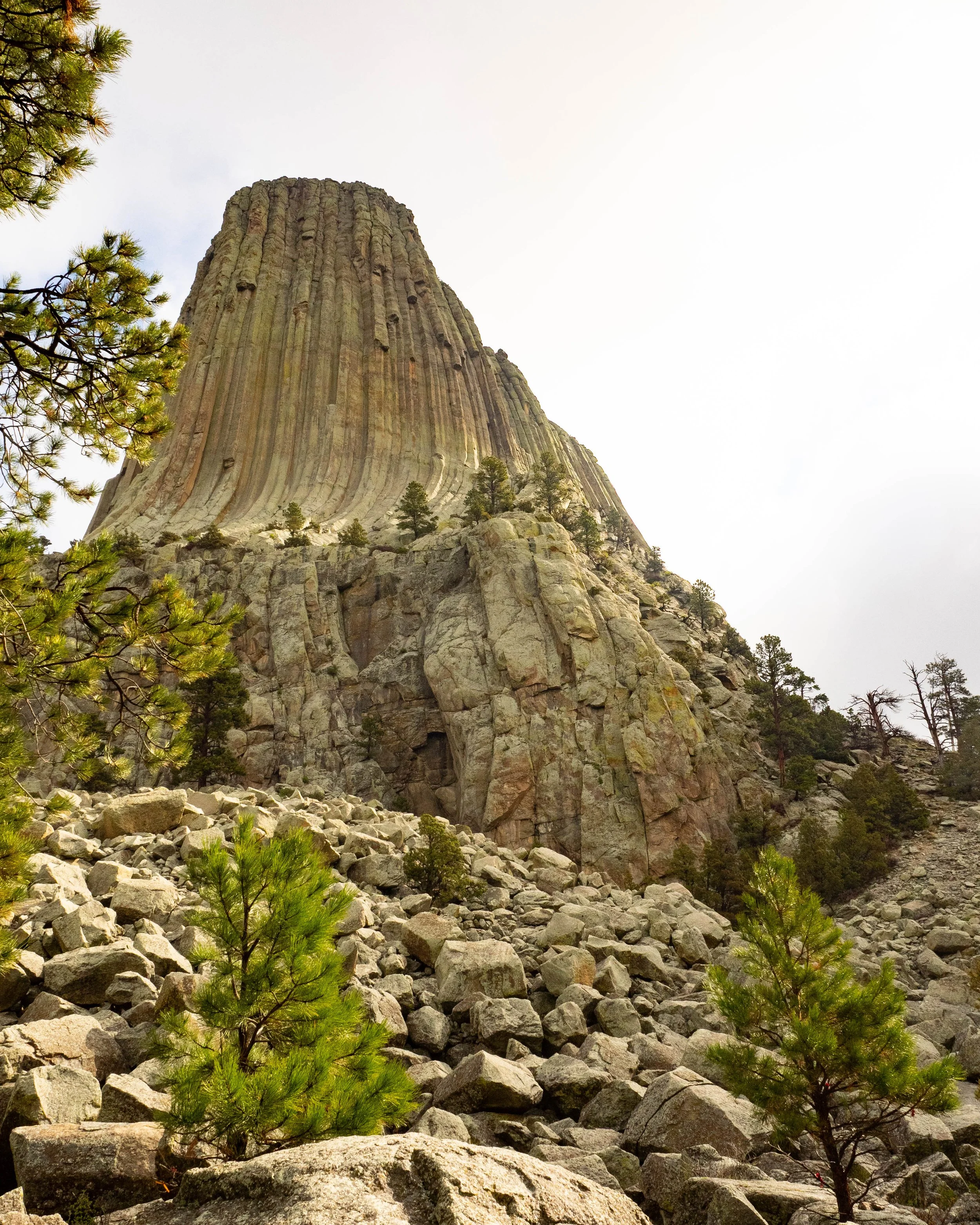 Devil's Tower
