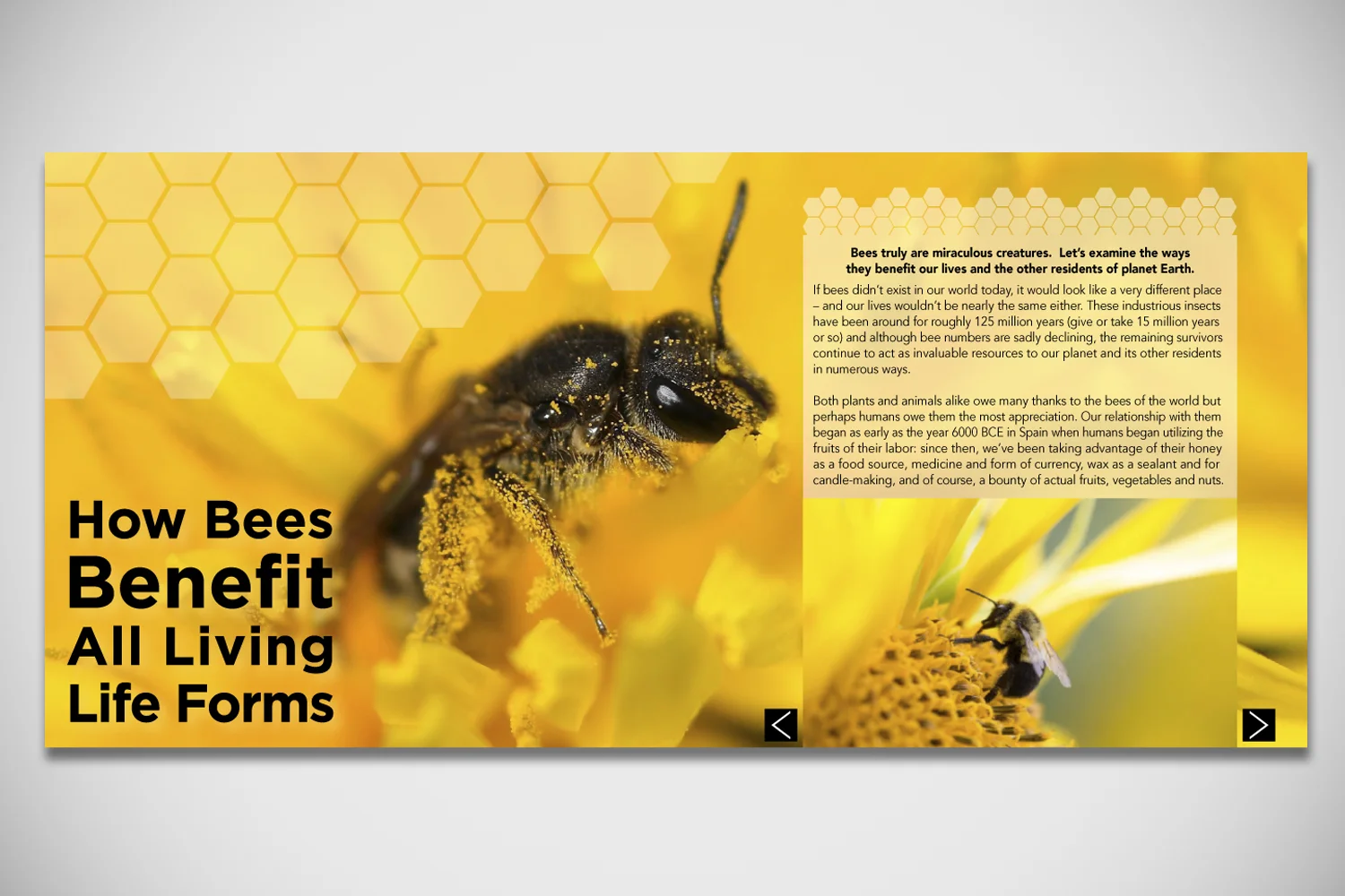 benefits of bees.jpg