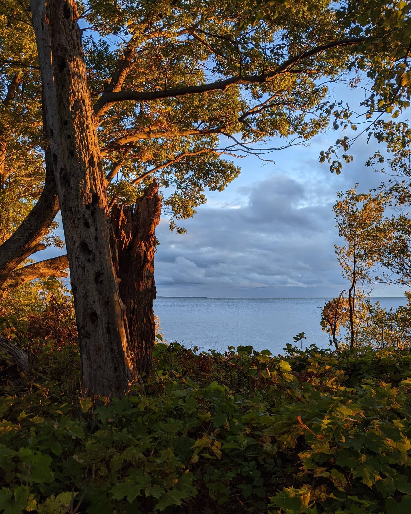 Typically I edit my photos but mother nature did all the work for me on this one.
#noeditsneeded #natureaddict #naturephotography #doorcounty #wisconsinoutdoors