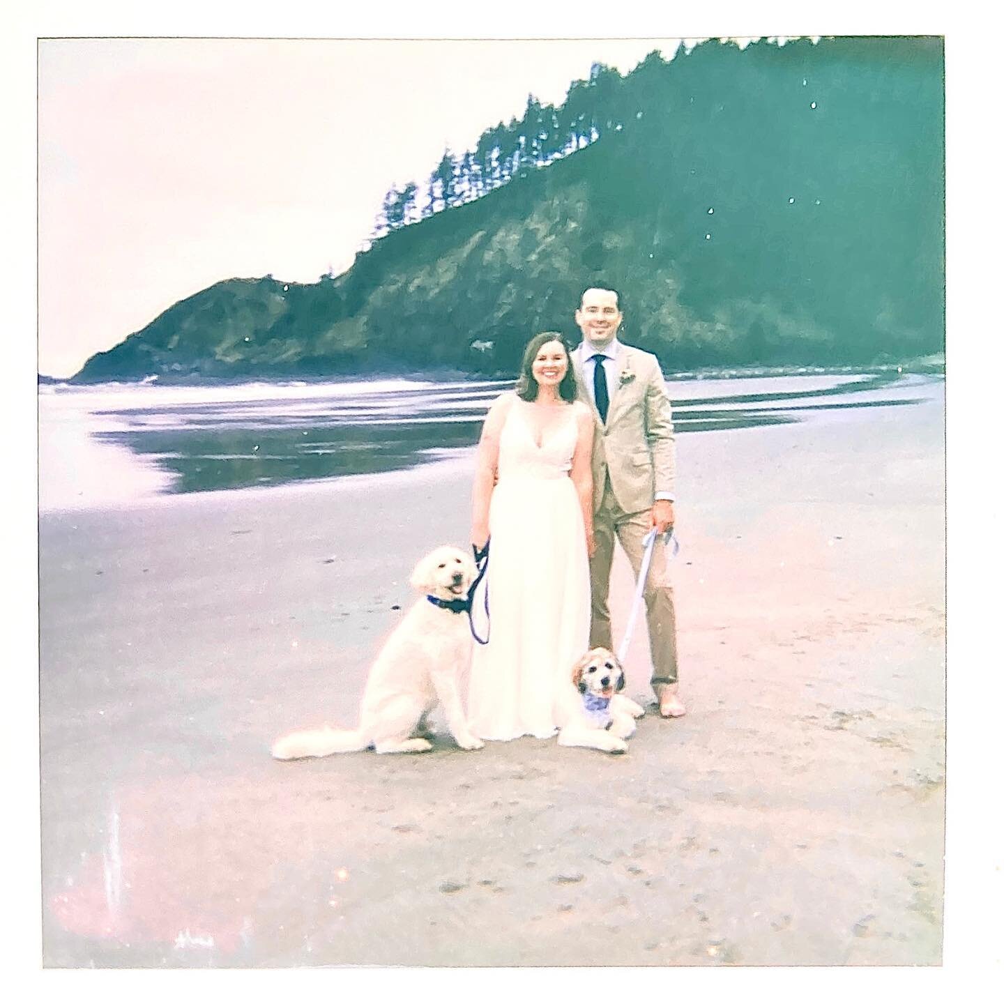 Back to regularly scheduled business, because I&rsquo;m dying to share this sweet elopement on the Oregon Coast! These two woke up for sunrise one of my favorite beaches on the entire coast. They ran up and down the beach with their pups, shared cham