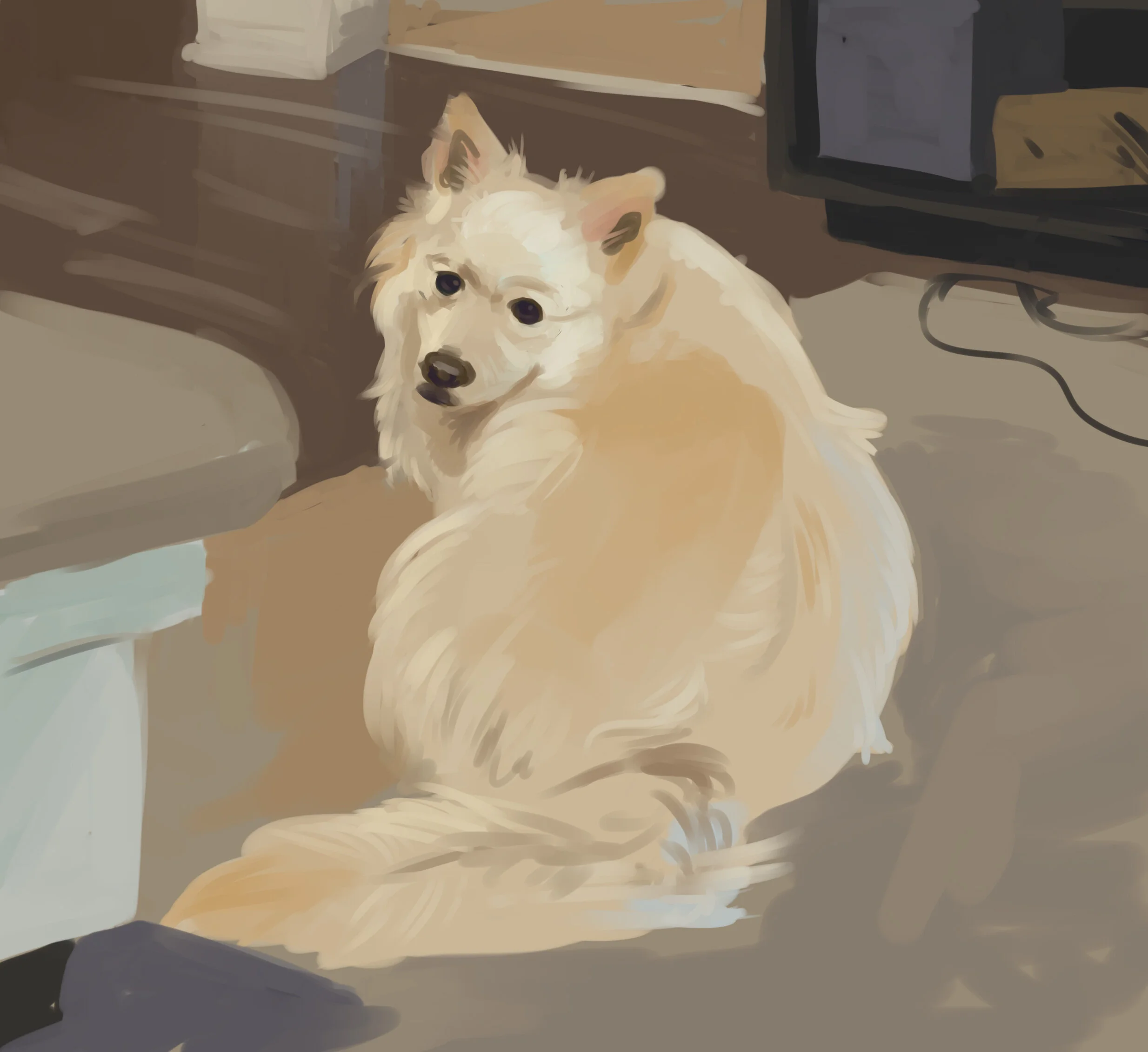 Sam.jpg