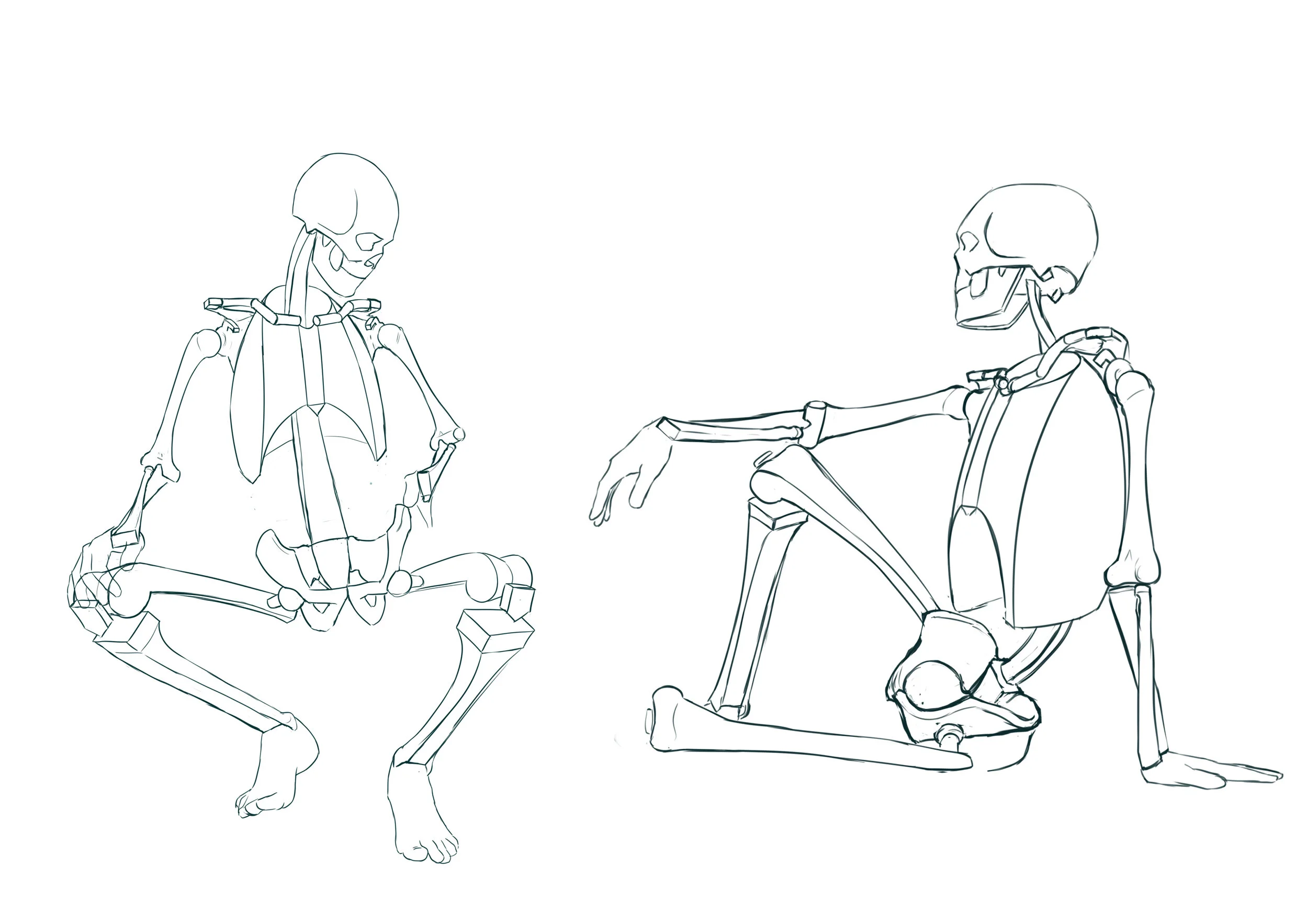 Final Skeleton.jpg