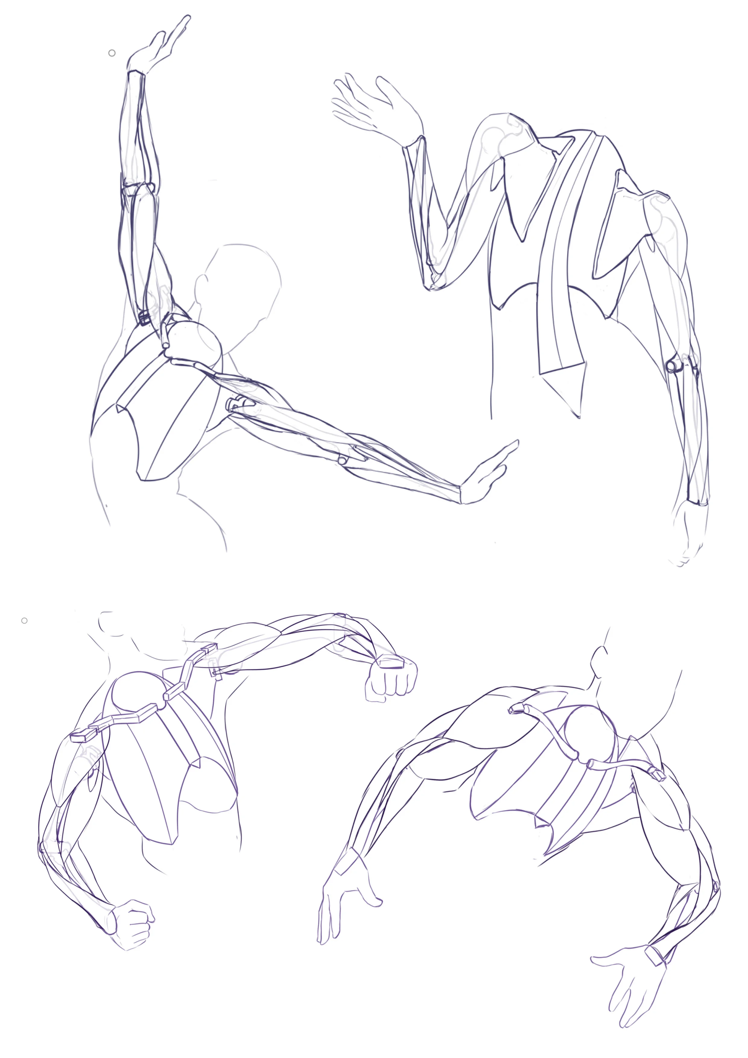Arms.jpg