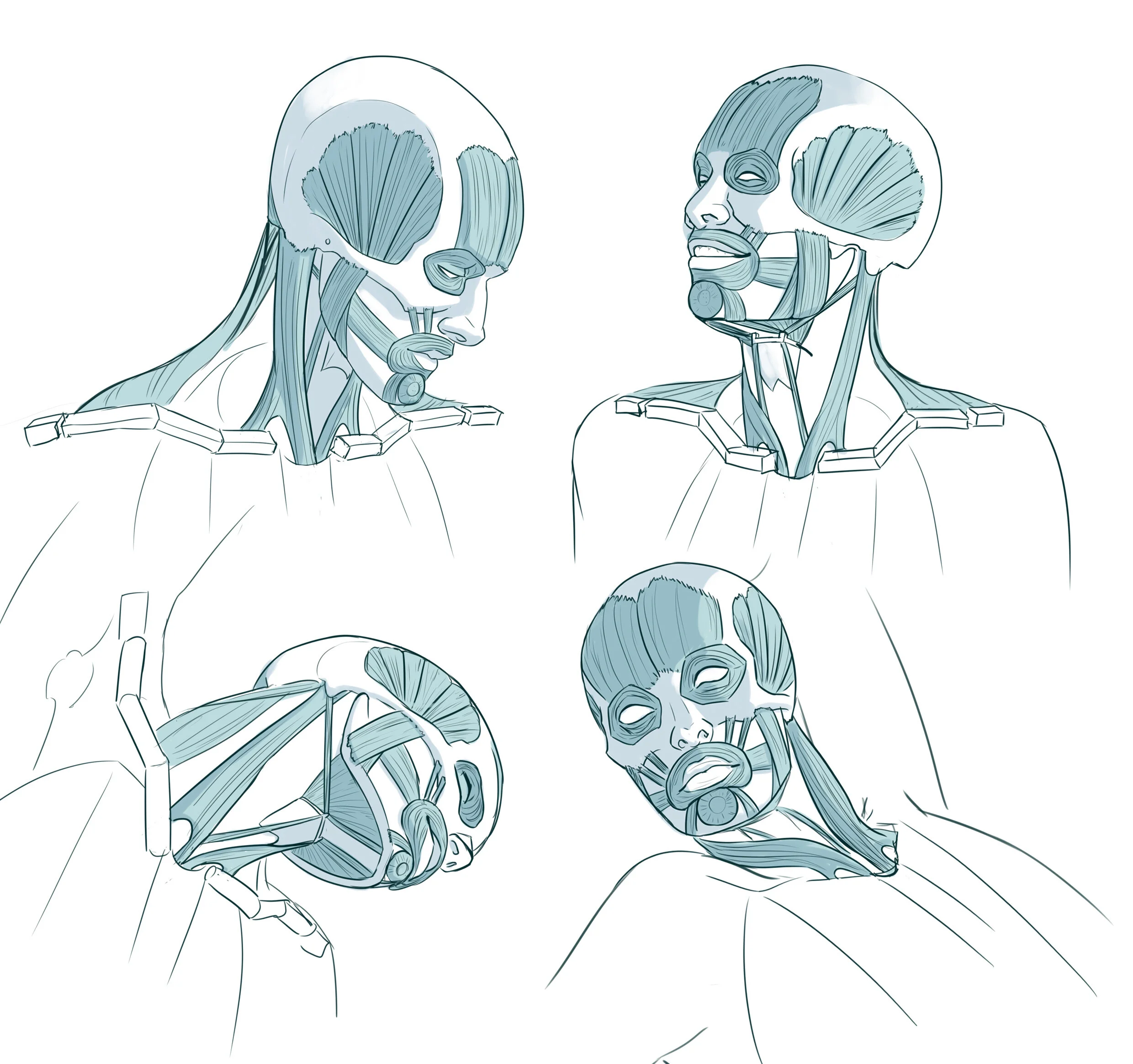 Heads.jpg