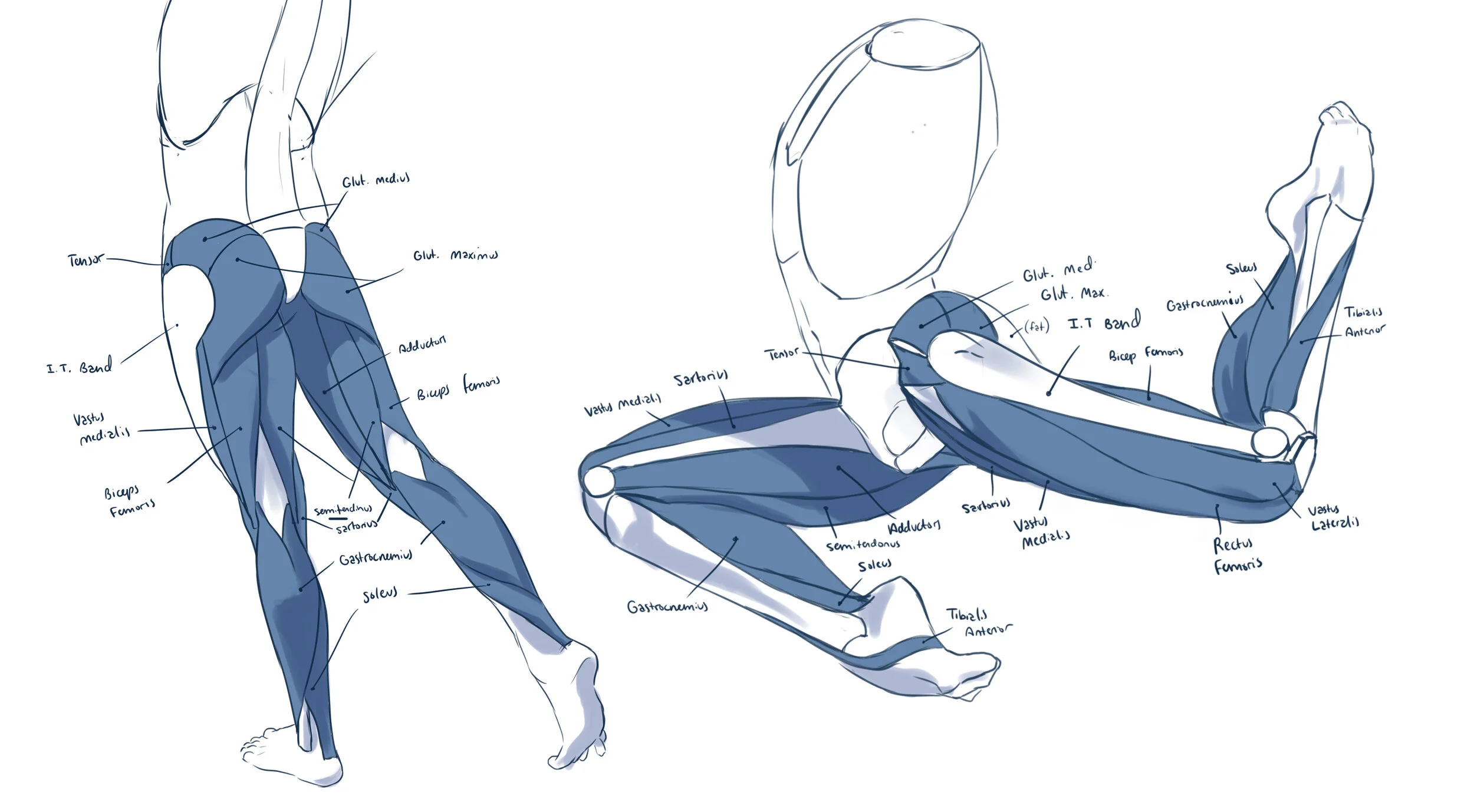 Legs.jpg