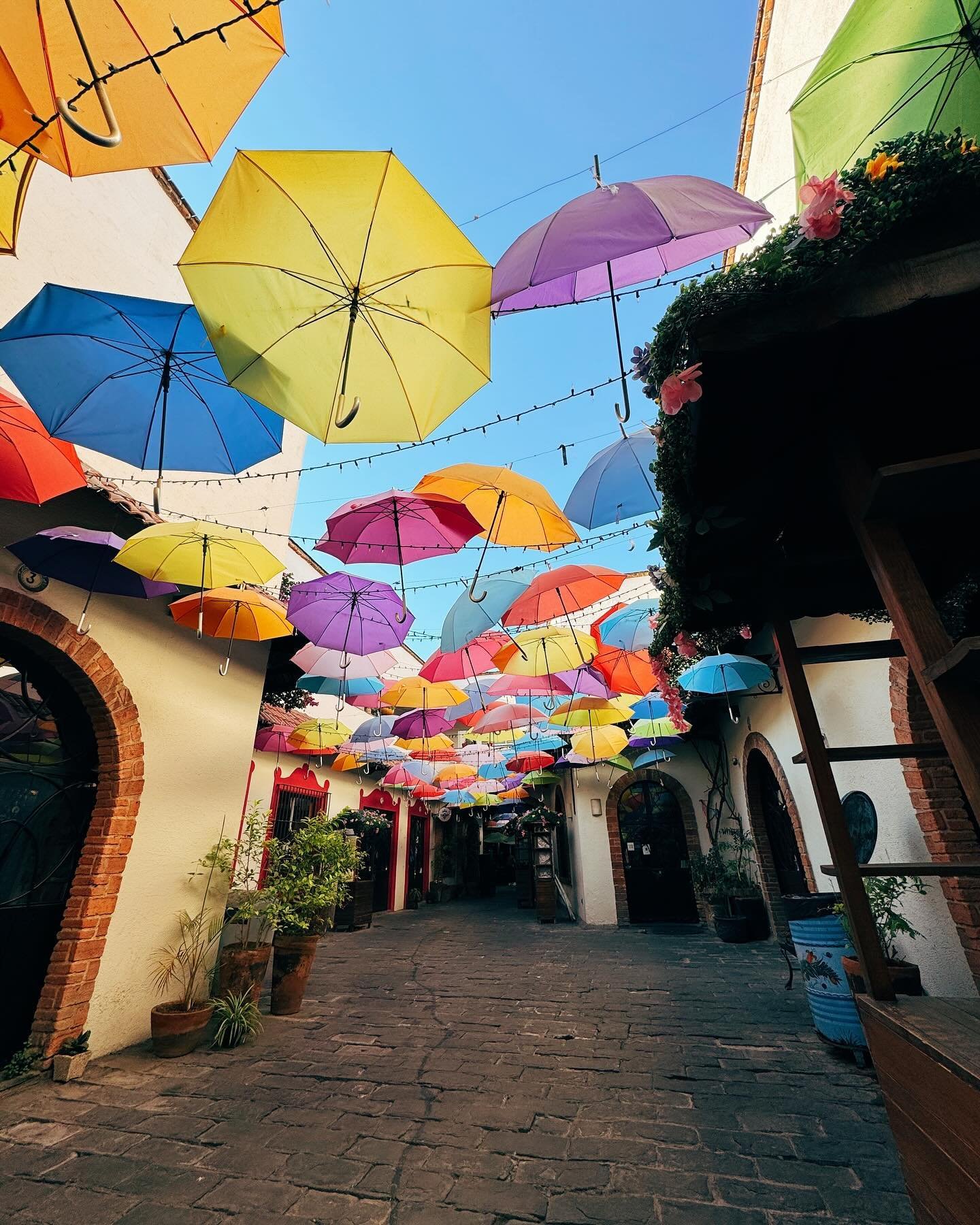 Mornings in Tlaquepaque