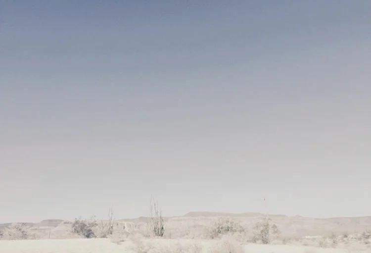 SINEWcoverphoto.jpg