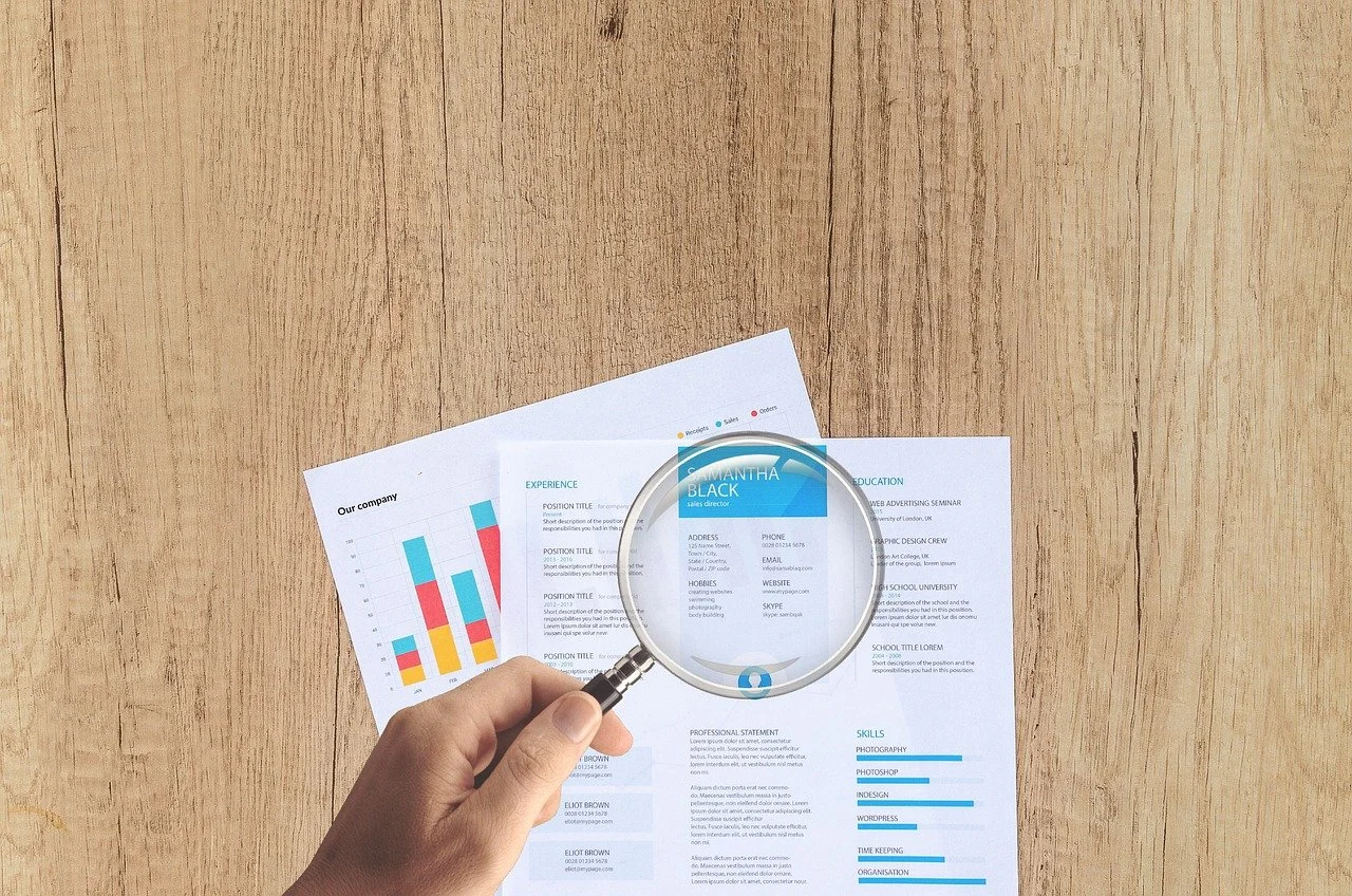 Workplace Innovation in Accountancy: Innovation Adaptation in Auditing