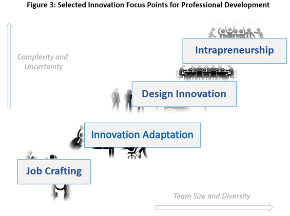 Figure 3:  Selected Innovation Focus Points for Professional Development