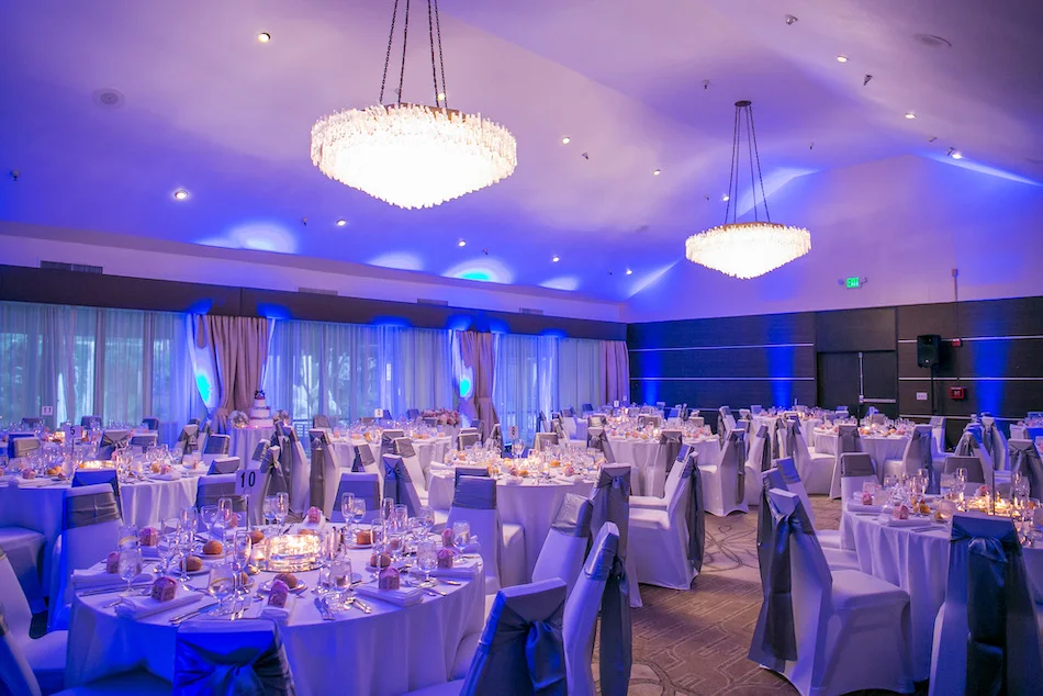 Wedding-Decoration-Uplighting-002.JPG