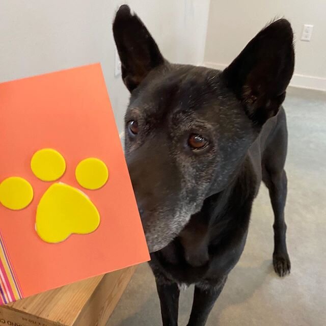 Happy February! This time last year, Bo was still our foster, so this month will be his first Valentine's Day as an official member of his forever family.

To celebrate, he's making handmade valentines (with occasional assistance from me) to include 