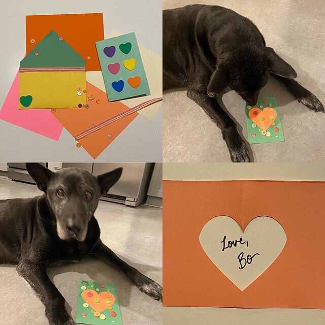 Bo&rsquo;s been working hard making valentines for all his friends! 💕 Remember, for the month of February, every copy of Austin Brown Dogs comes with a handmade (paw-made?) valentine from my sweet senior rescue boy. 🔗 in bio to order!
