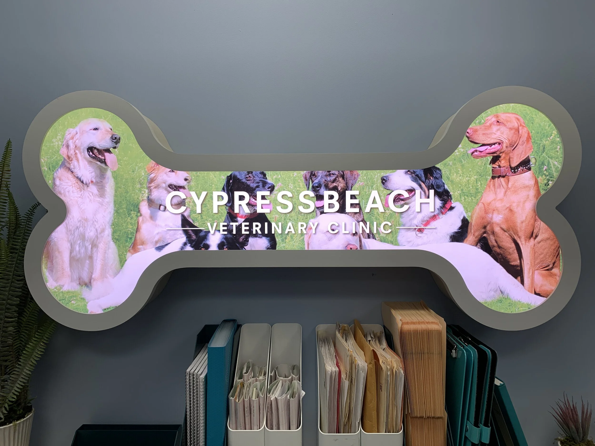CYPRESS BEACH ANIMAL CLINIC - SIGN BOX