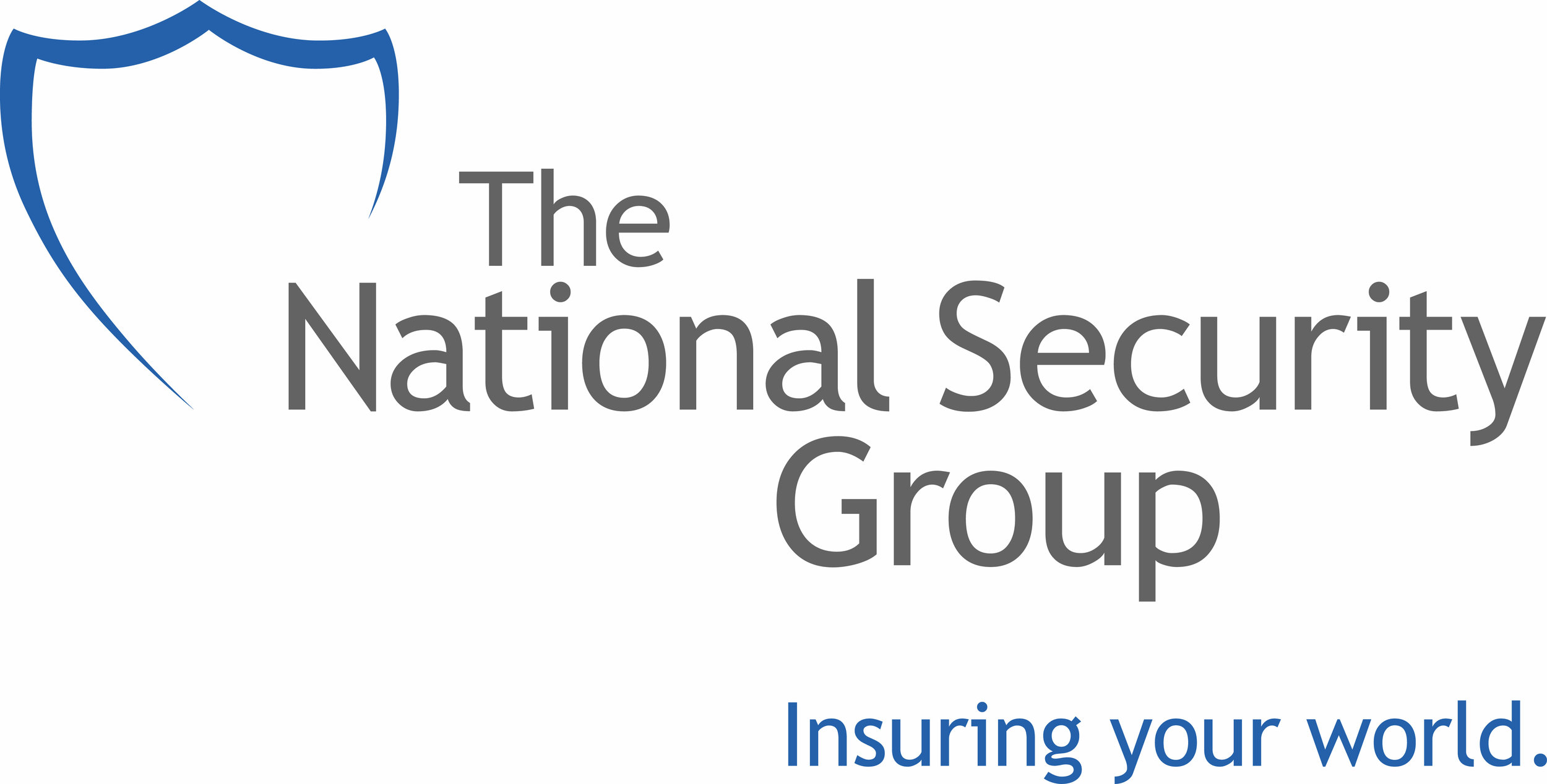 National-Security-Group-Inc.-logo.jpg