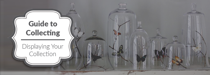 Blog-Display Collection.png