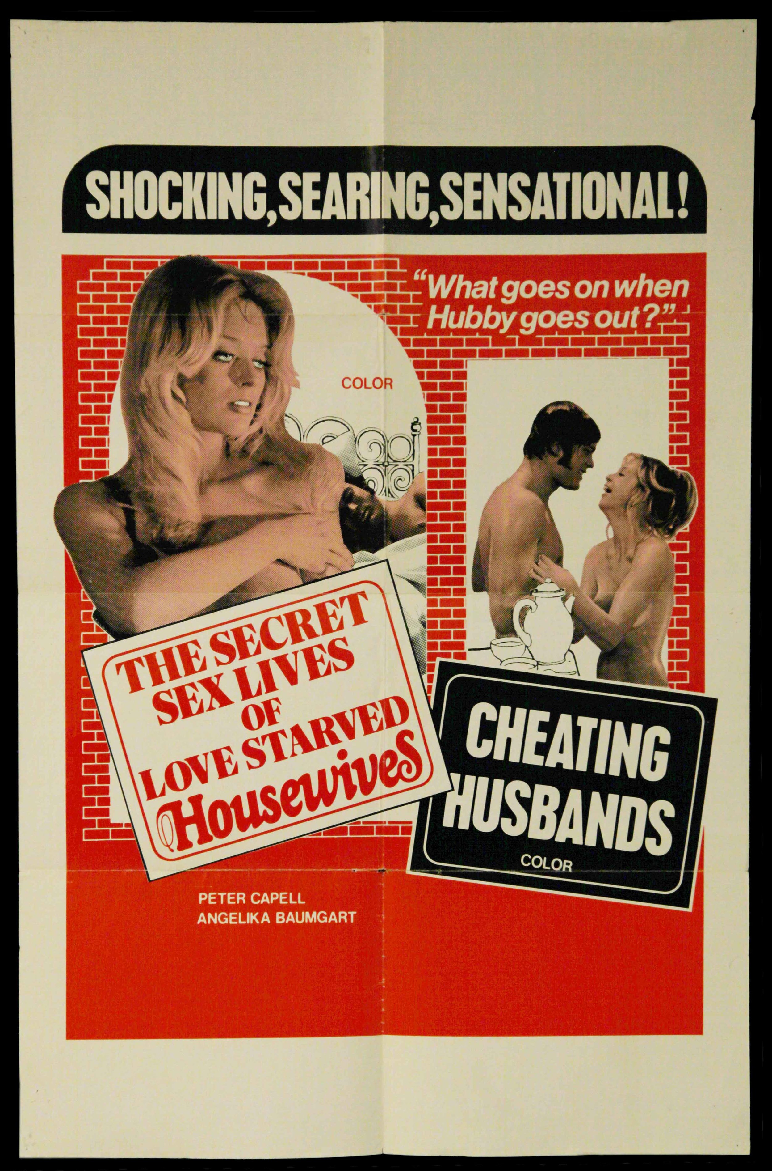 The Secret Sex Lives of Love Starved Housewives  (1973)