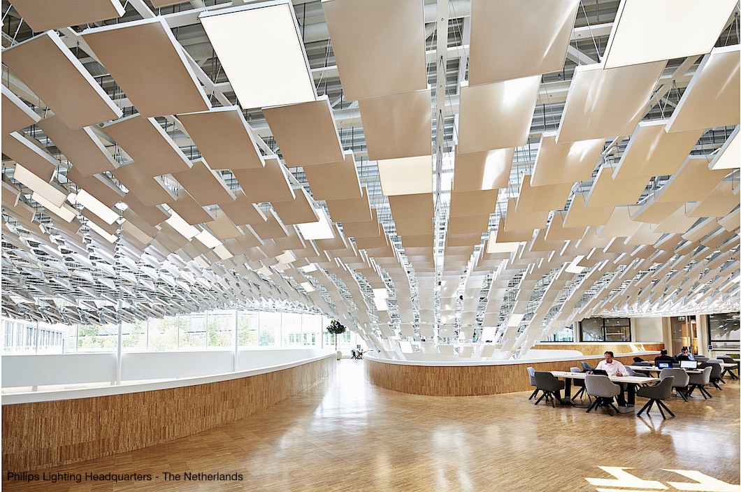 4.Philips Netherland.jpg