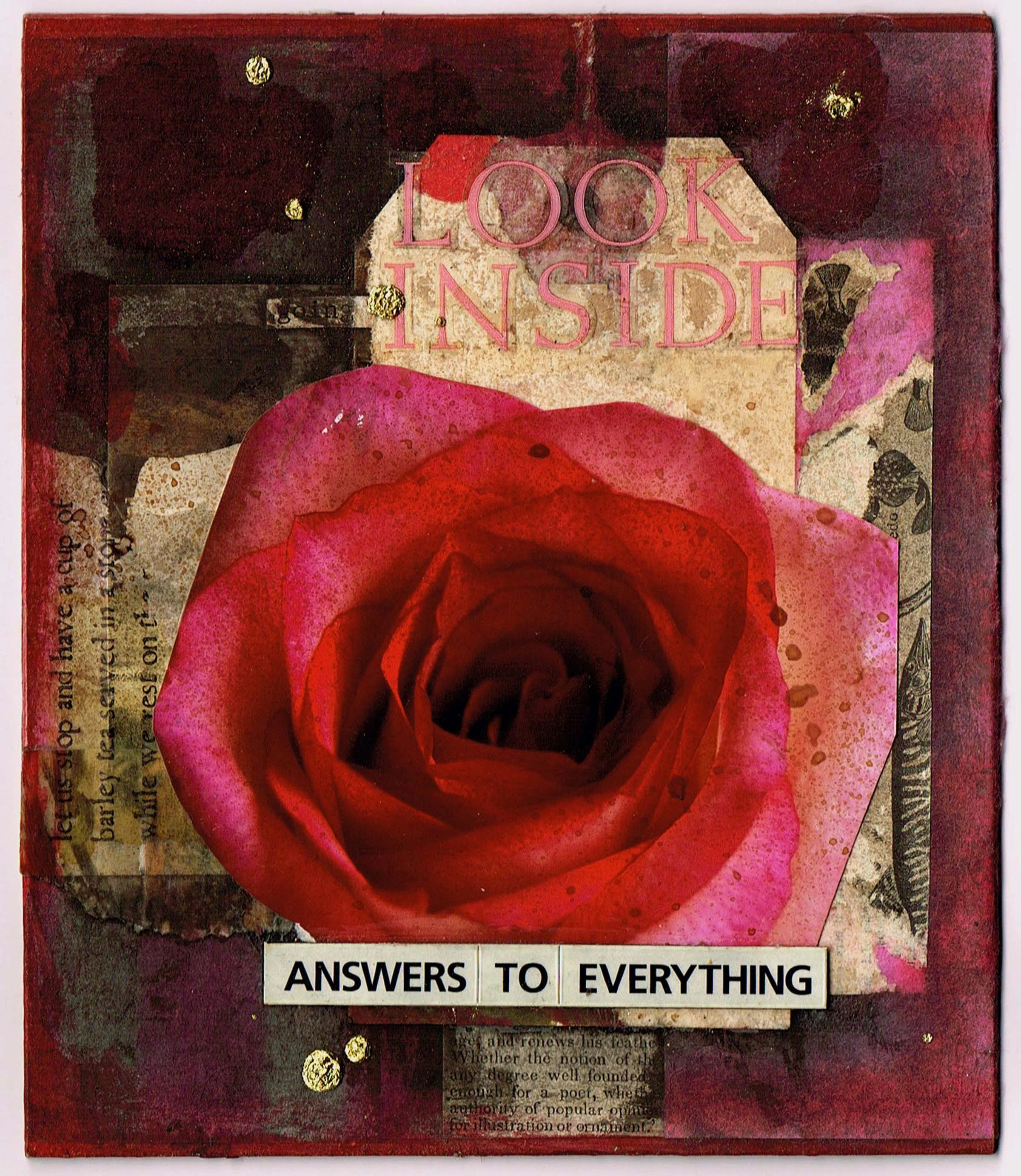 look inside