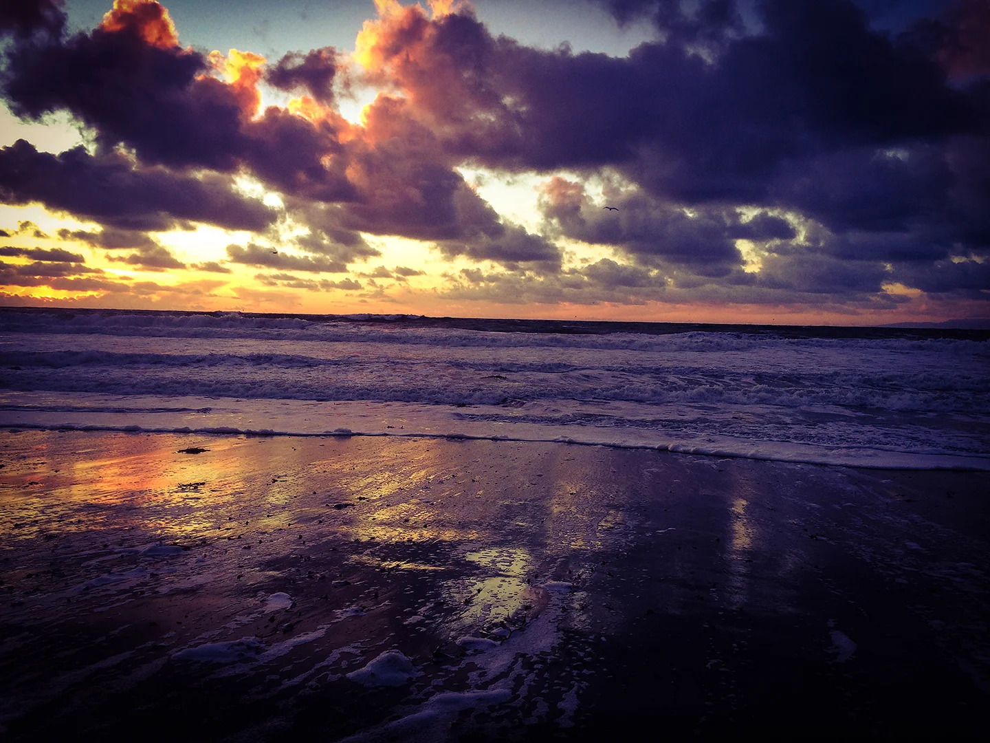 Ocean 3