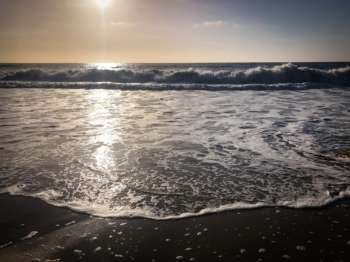 Ocean 14