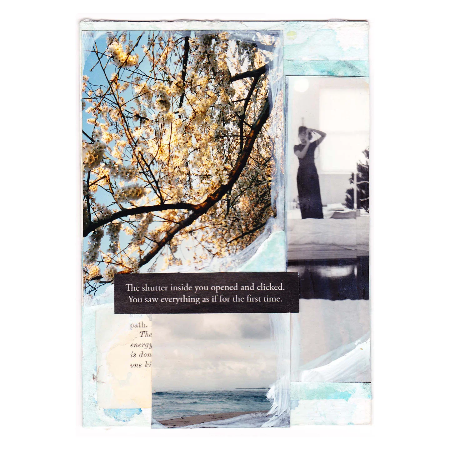 Shutter Clicked - Card