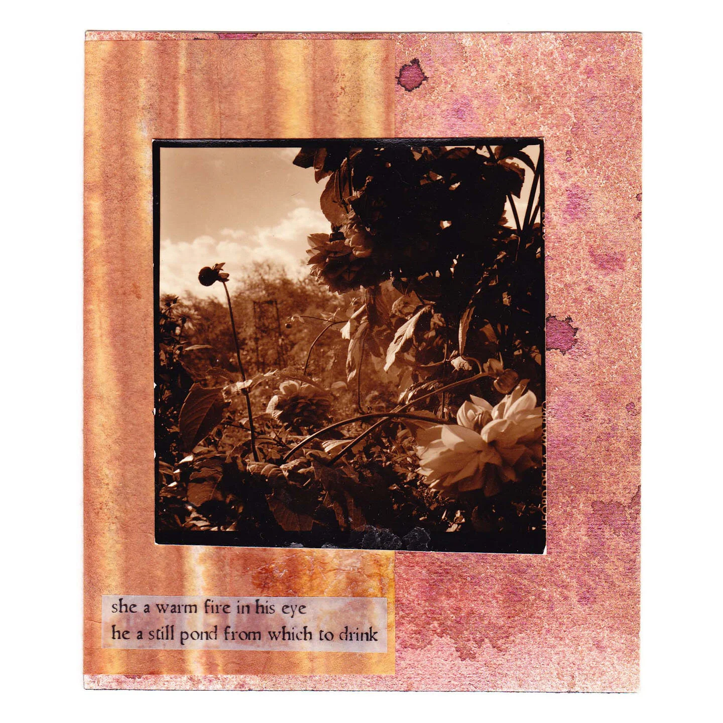 Warm Fire Still Pond - Card