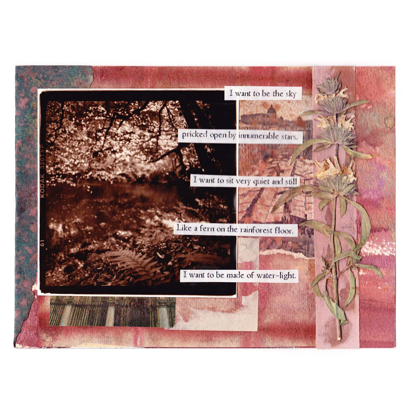 Waterlight - Card