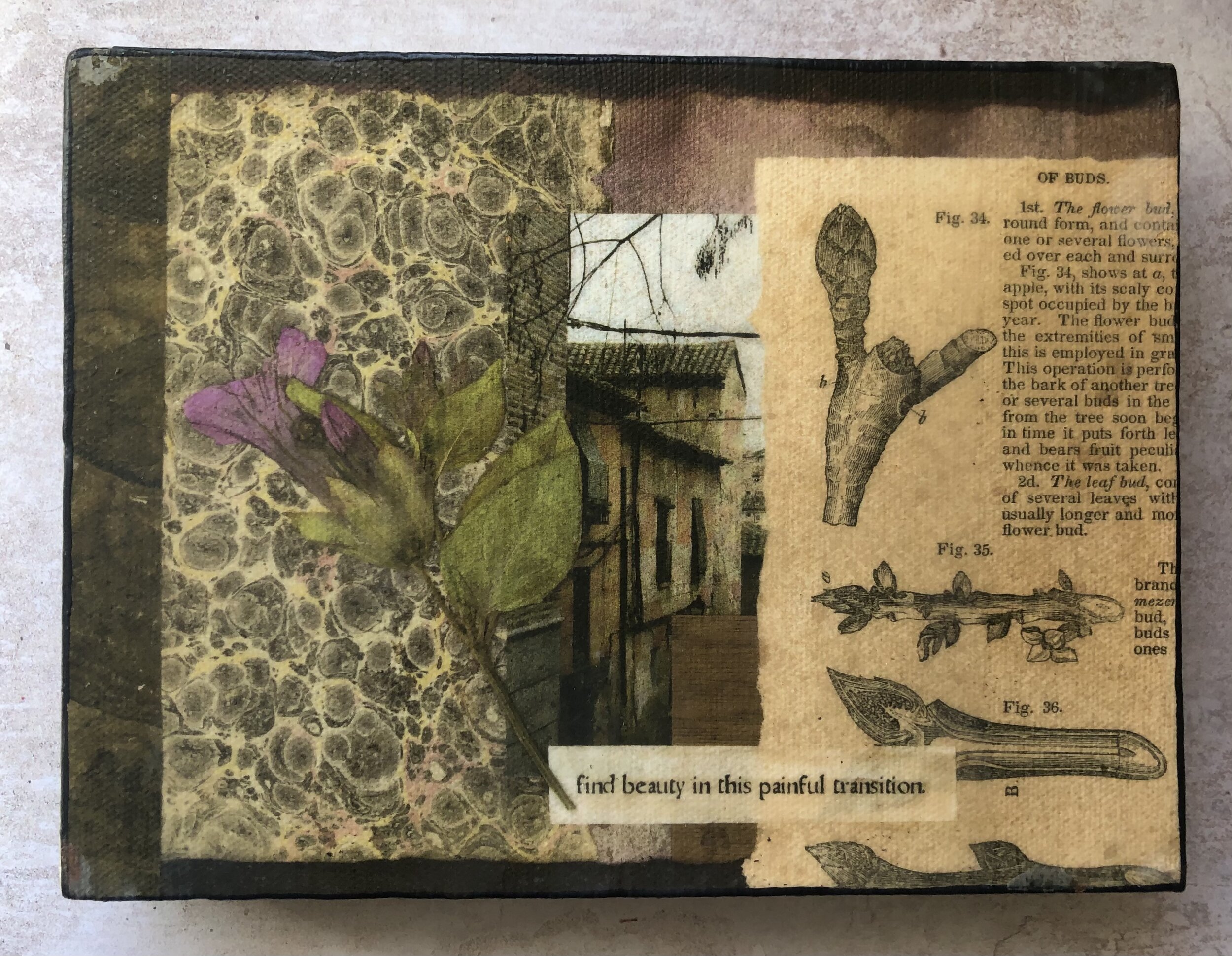 The Beauty of Painful Transition - Canvas