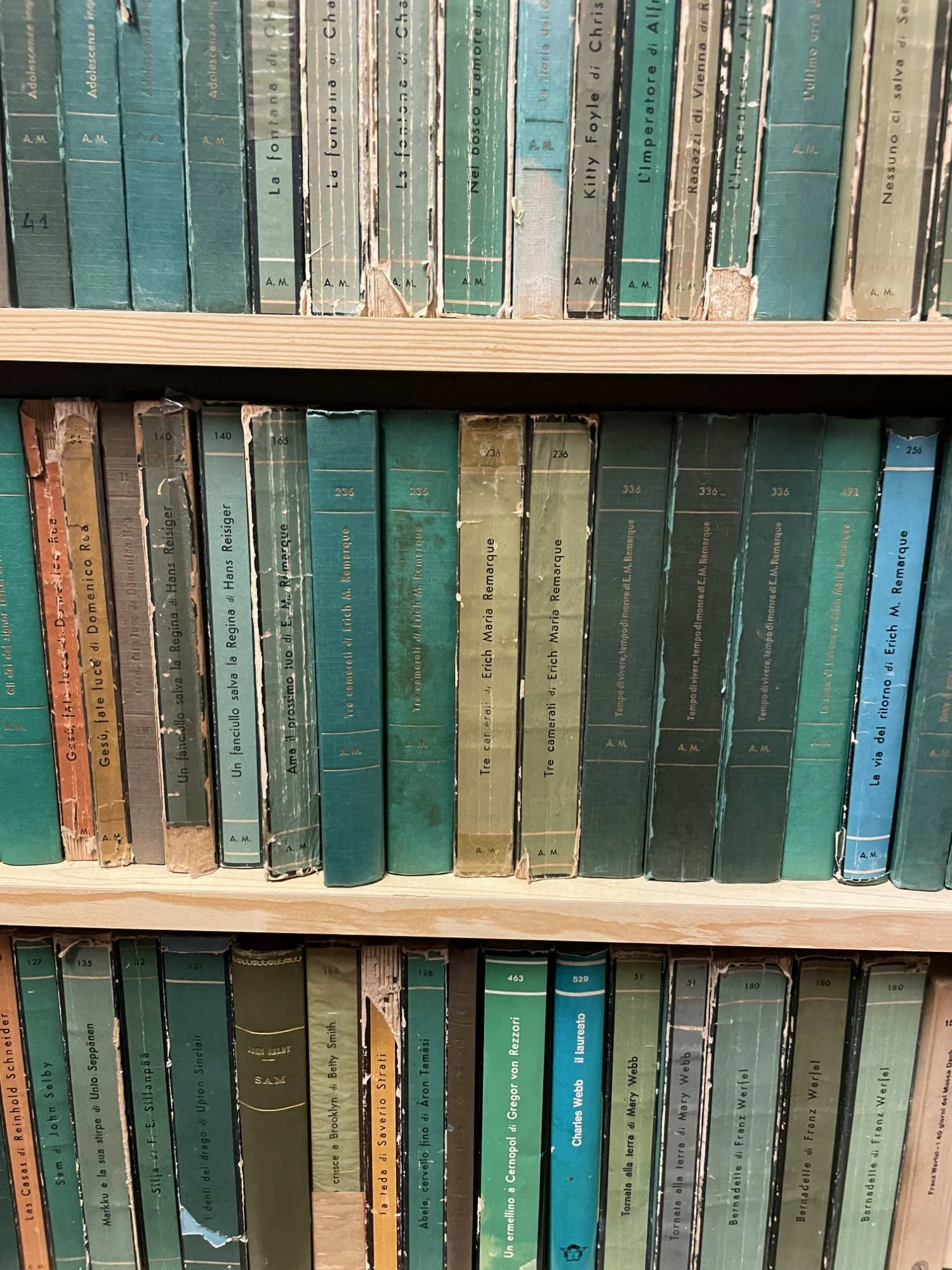 Venice book detail 2.jpg