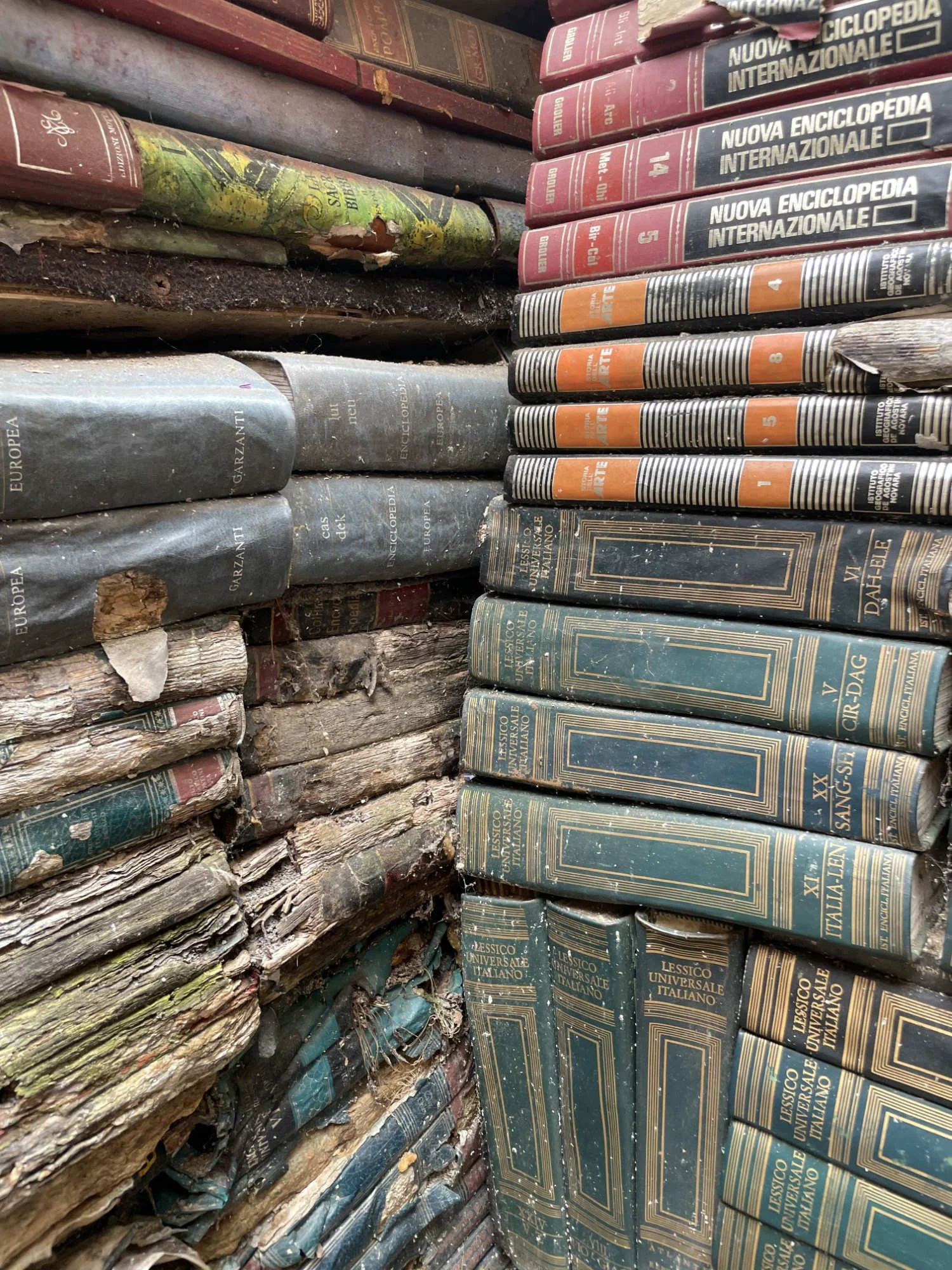 Venice book detail.jpg