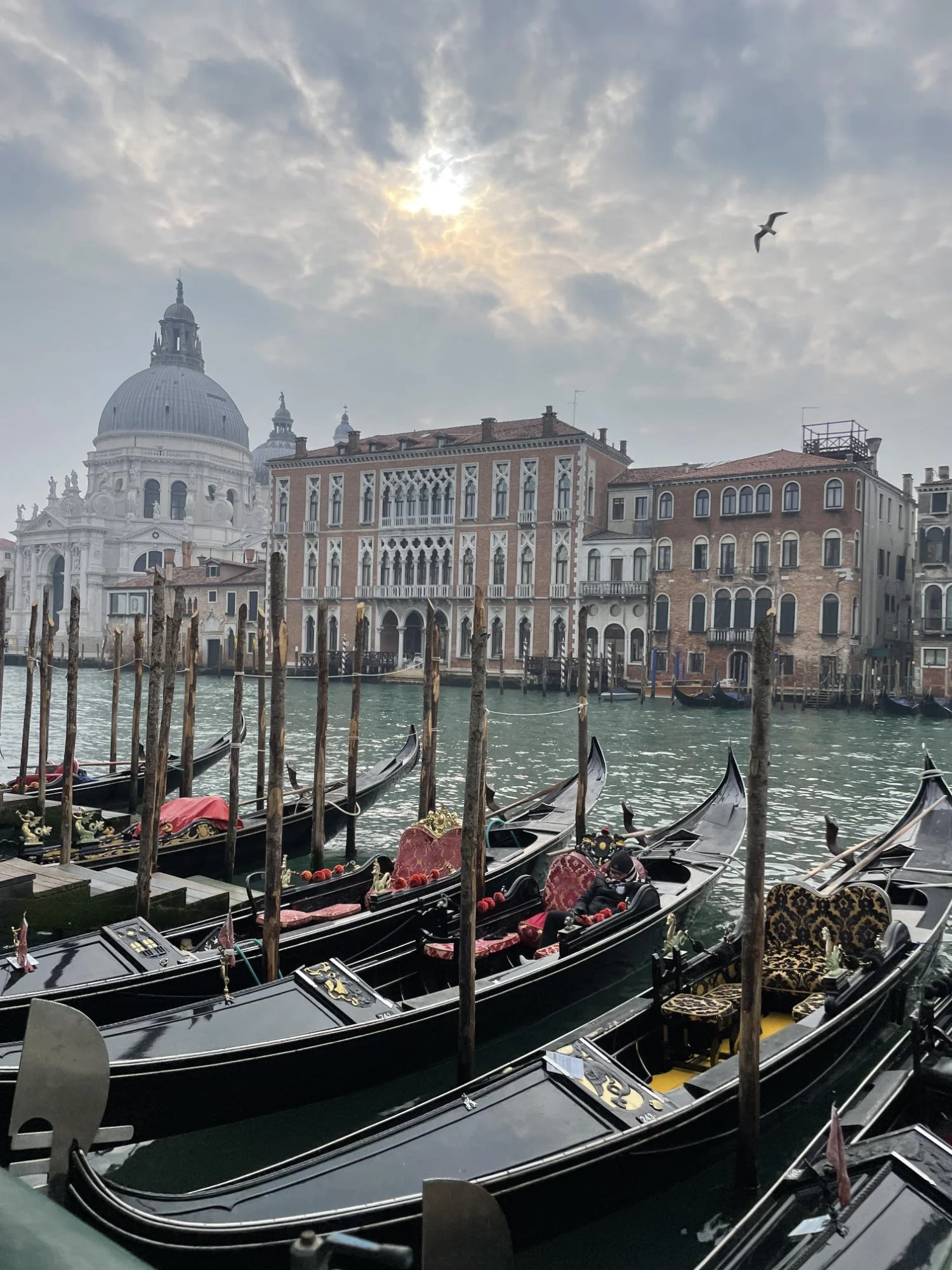 Venice Field Notes