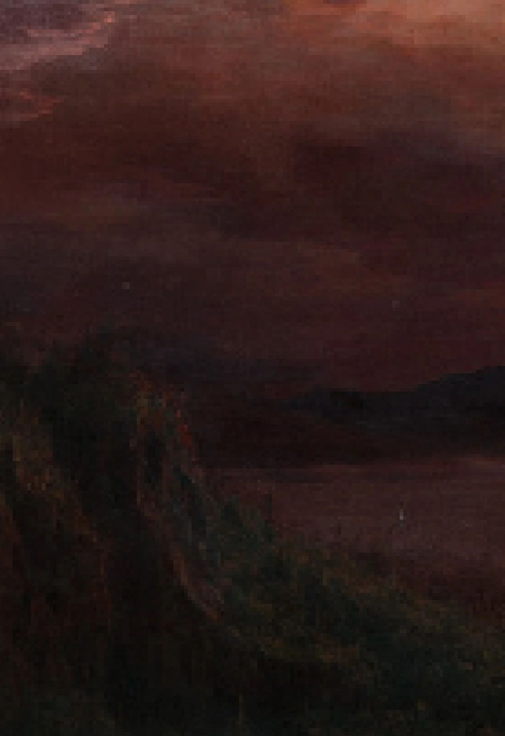 Dark silhouette of a tree against a reddish-brown sky at sunset or dusk.